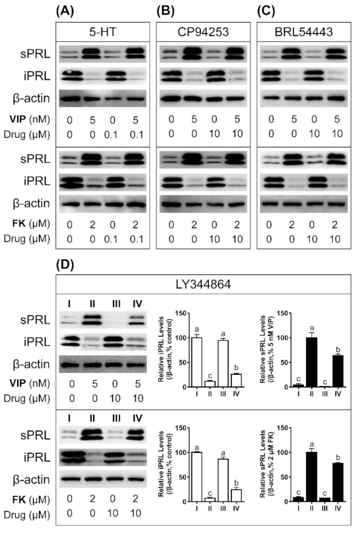 Genes 12 00891 g008 Genes 12 00891 g008