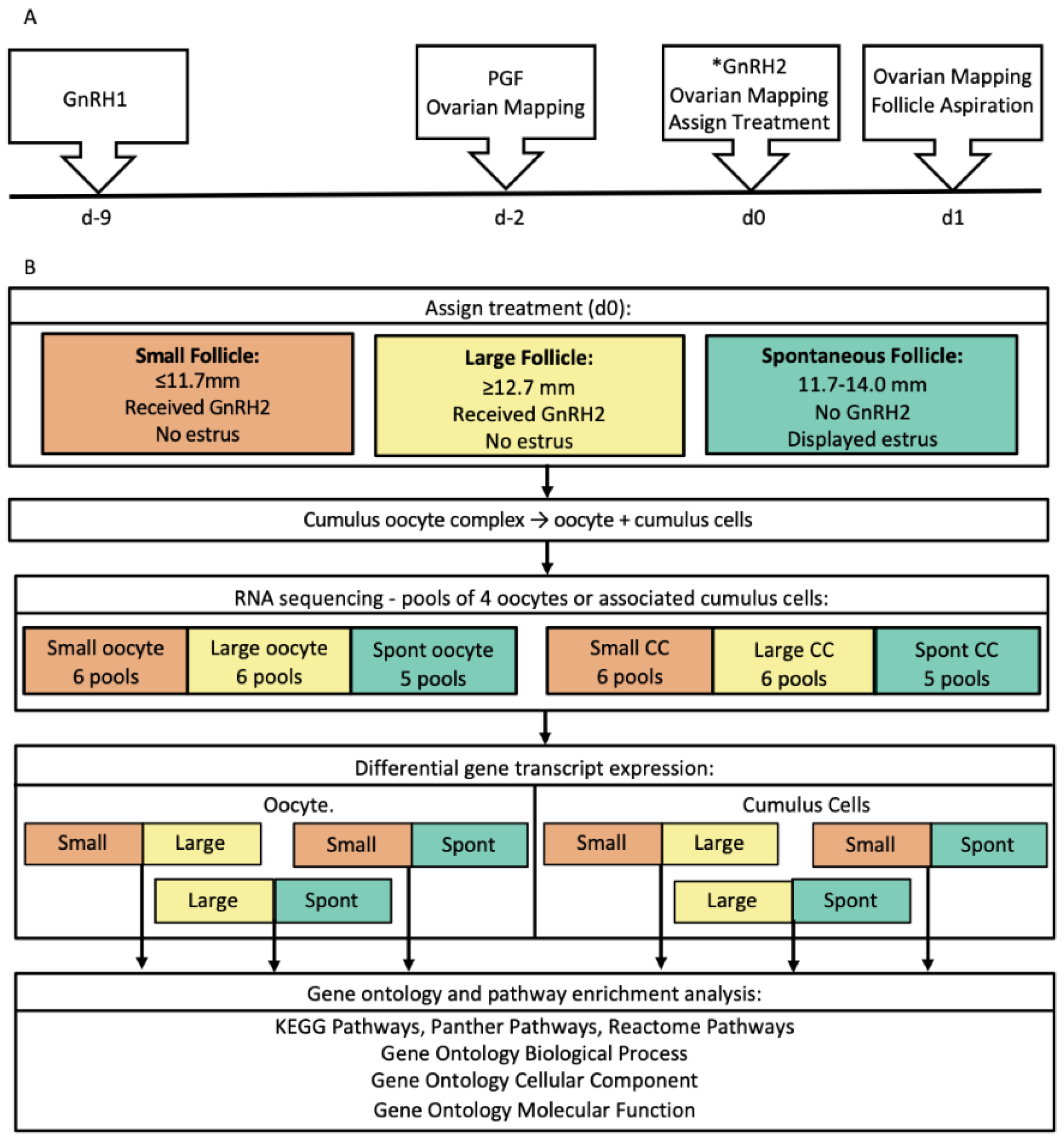 Genes 12 00893 g001 Genes 12 00893 g001