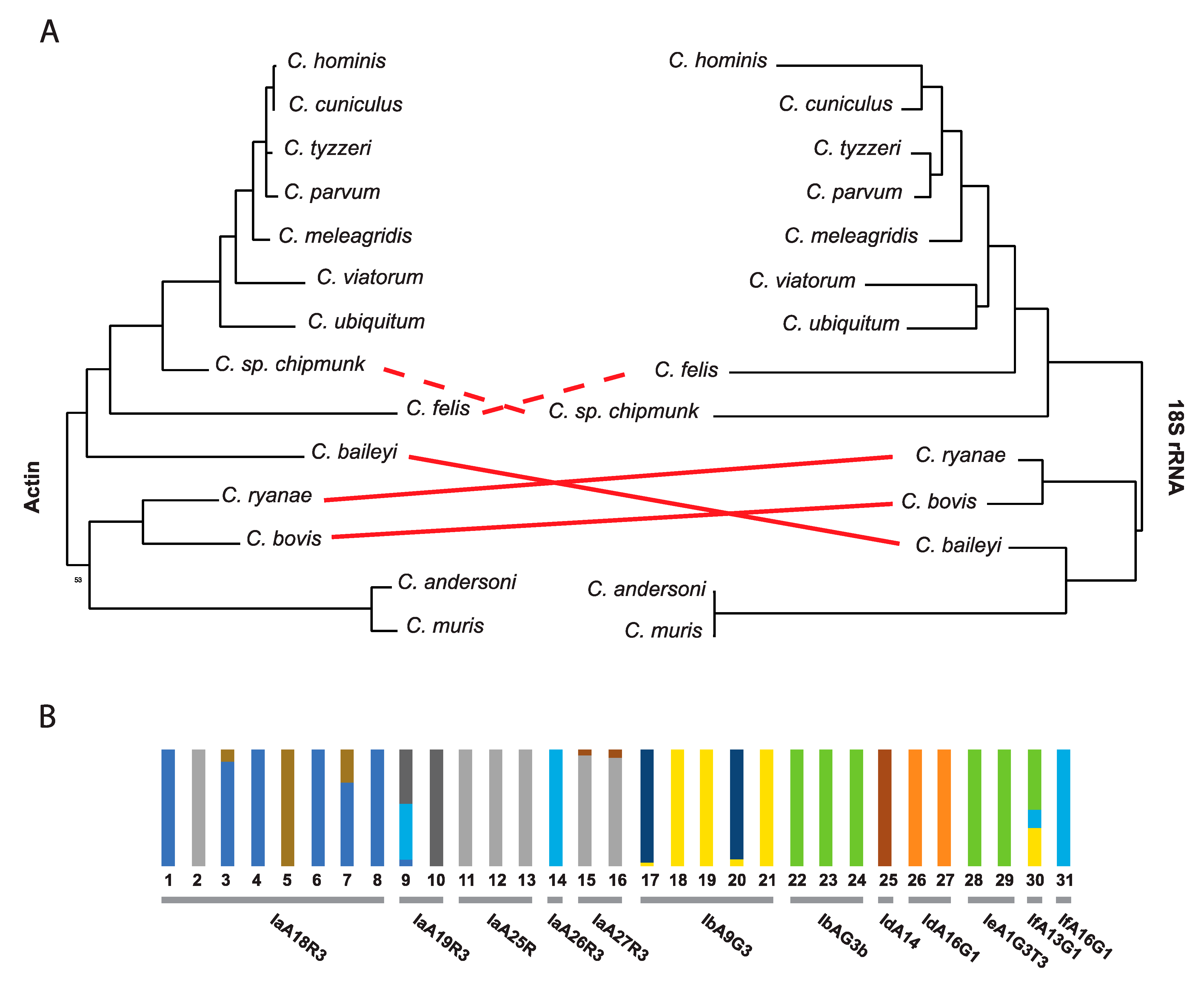Genes 12 00894 g001 Genes 12 00894 g001