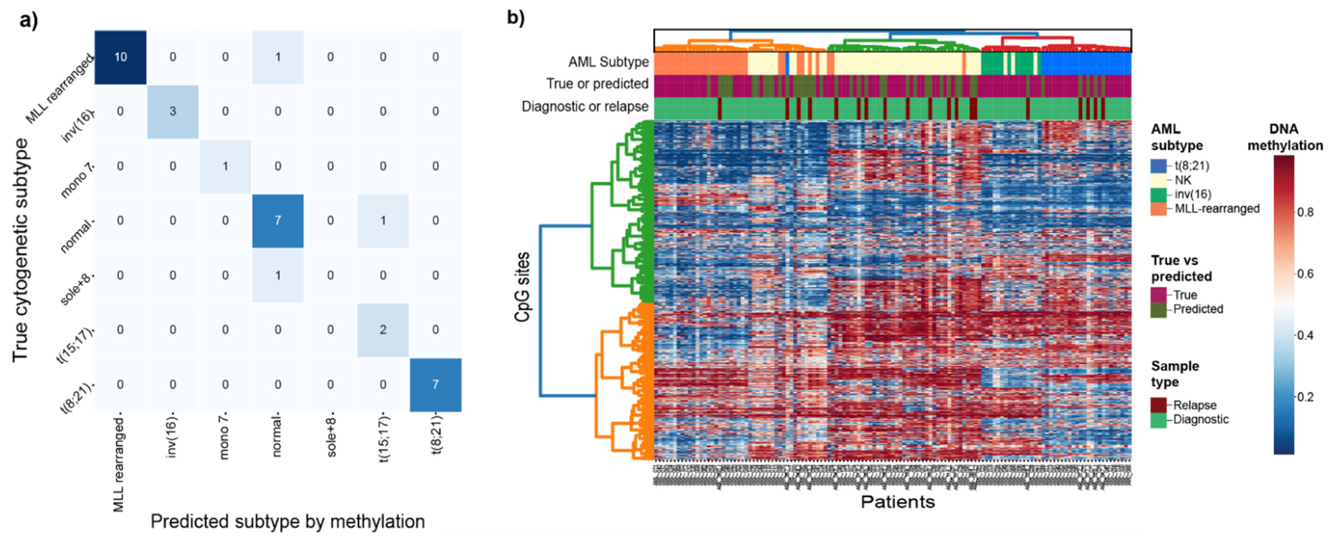 Genes 12 00895 g002