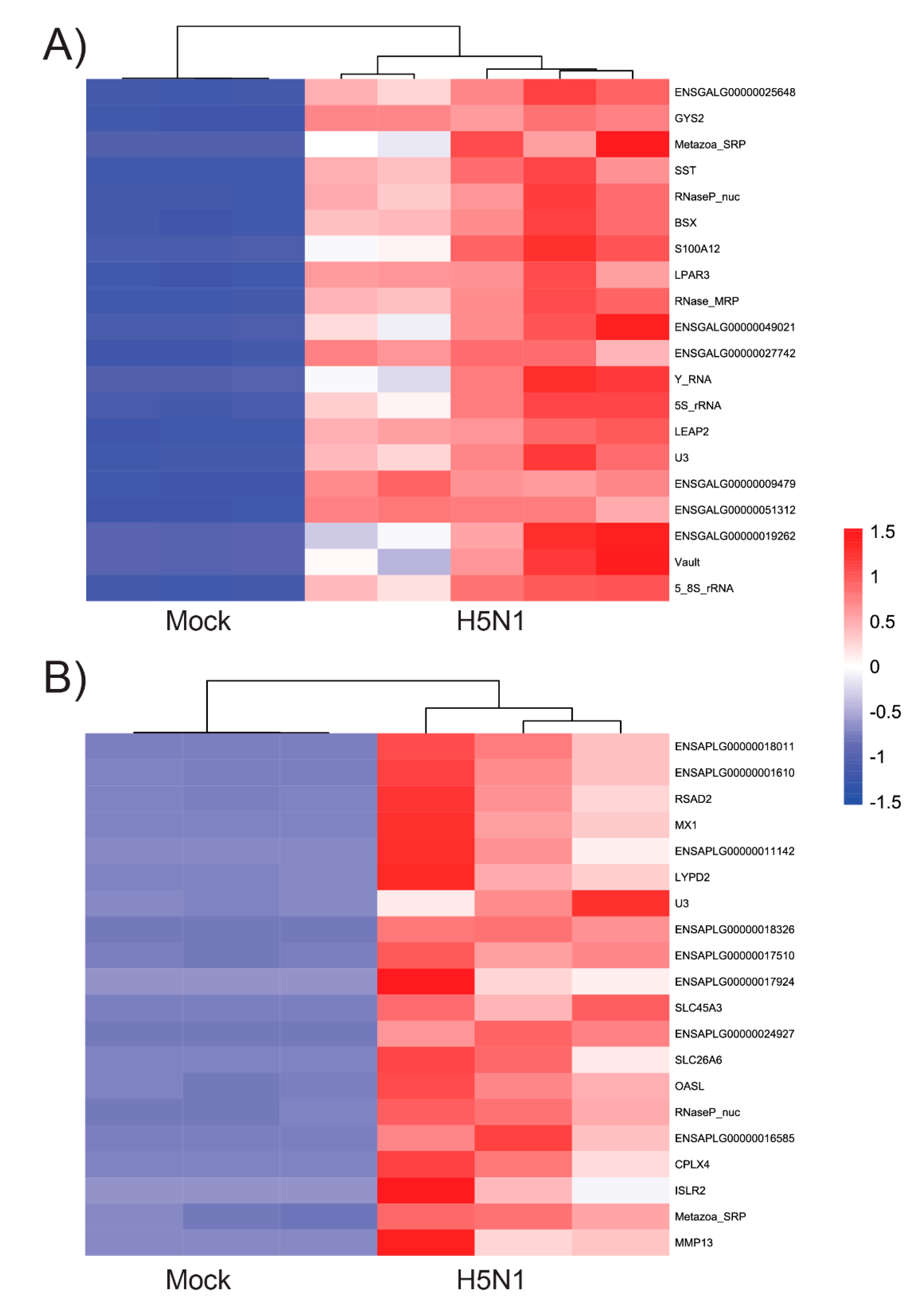 Genes 12 00901 g002
