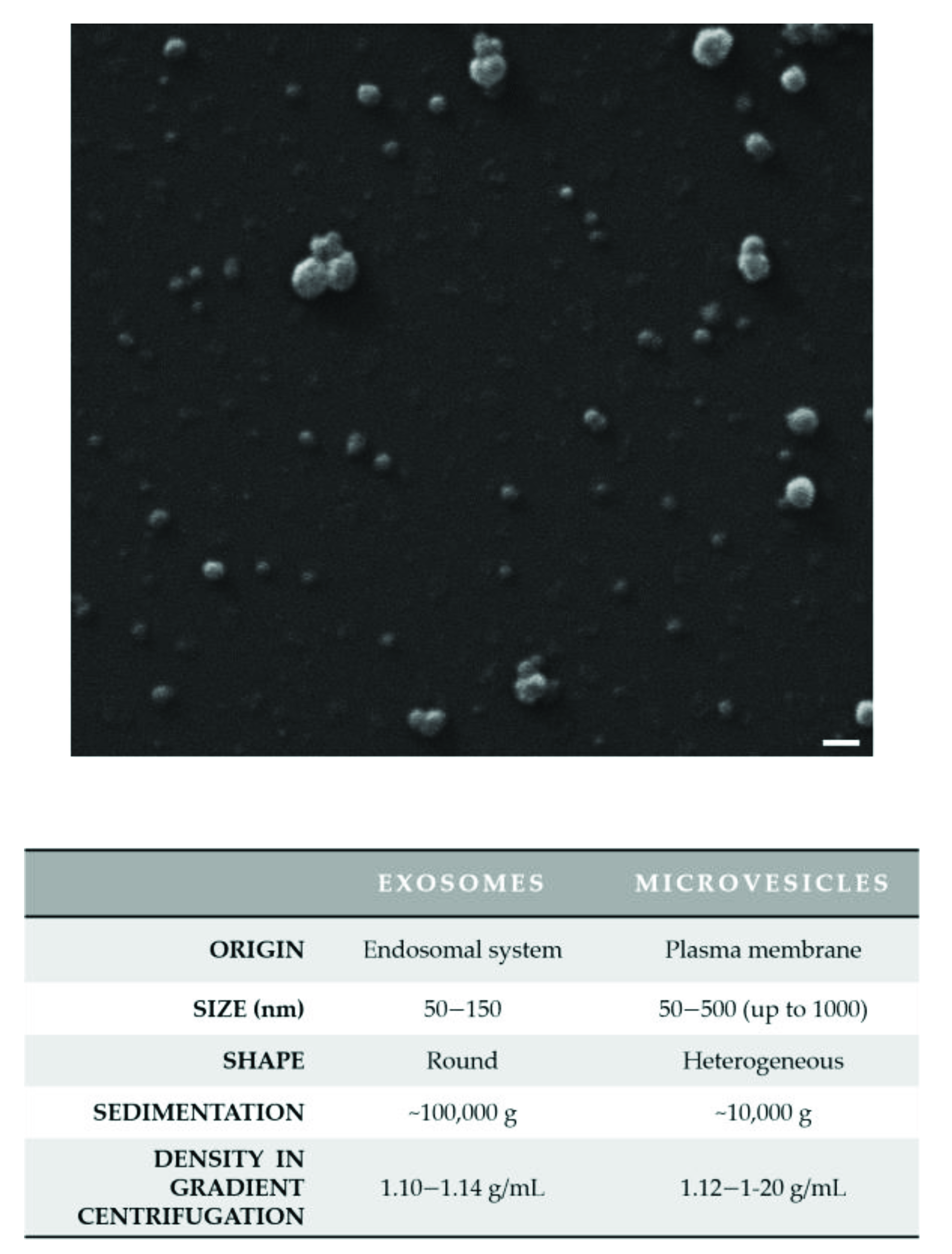 Genes 12 00902 g001