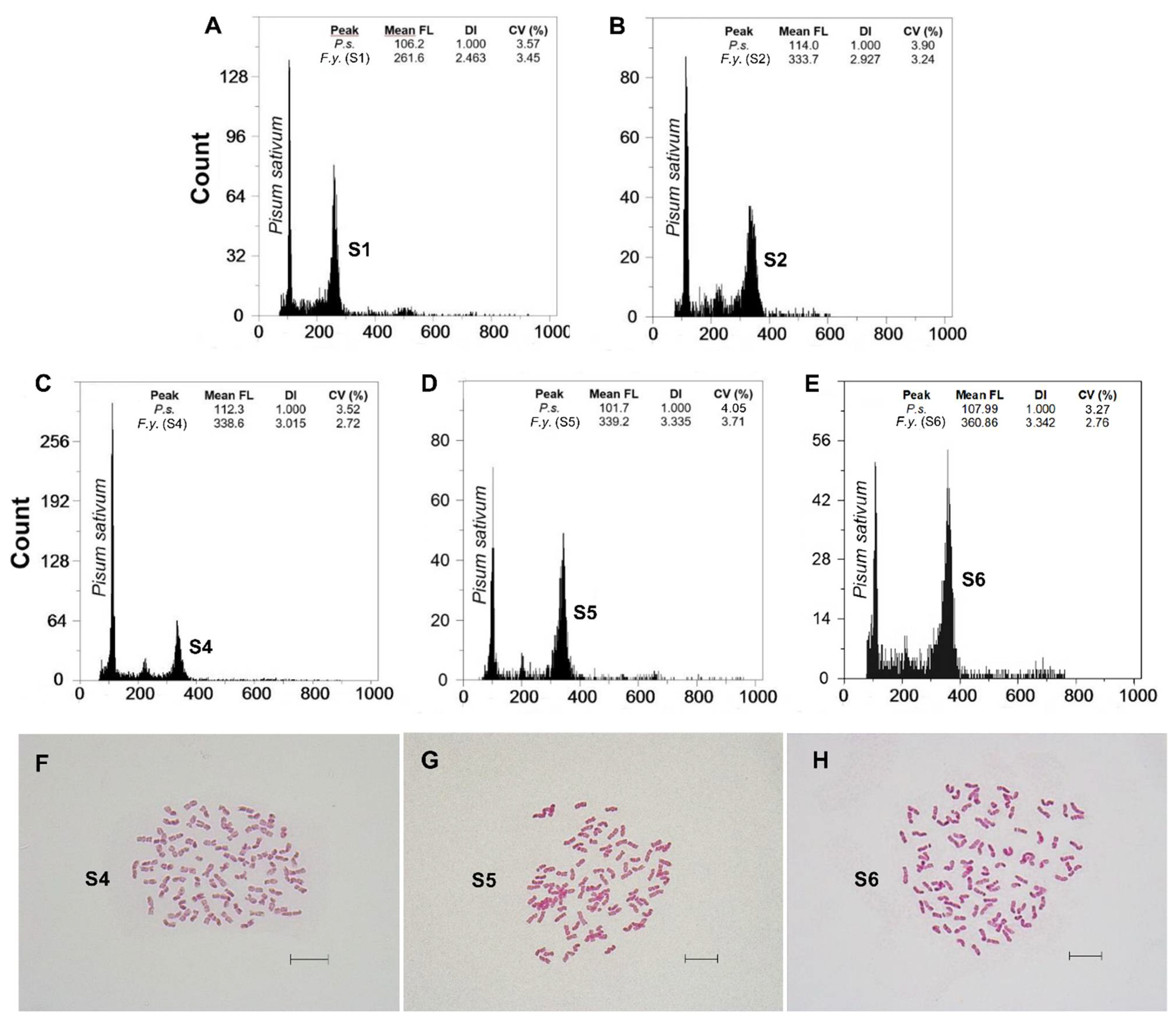 Genes 12 00906 g002 Genes 12 00906 g002