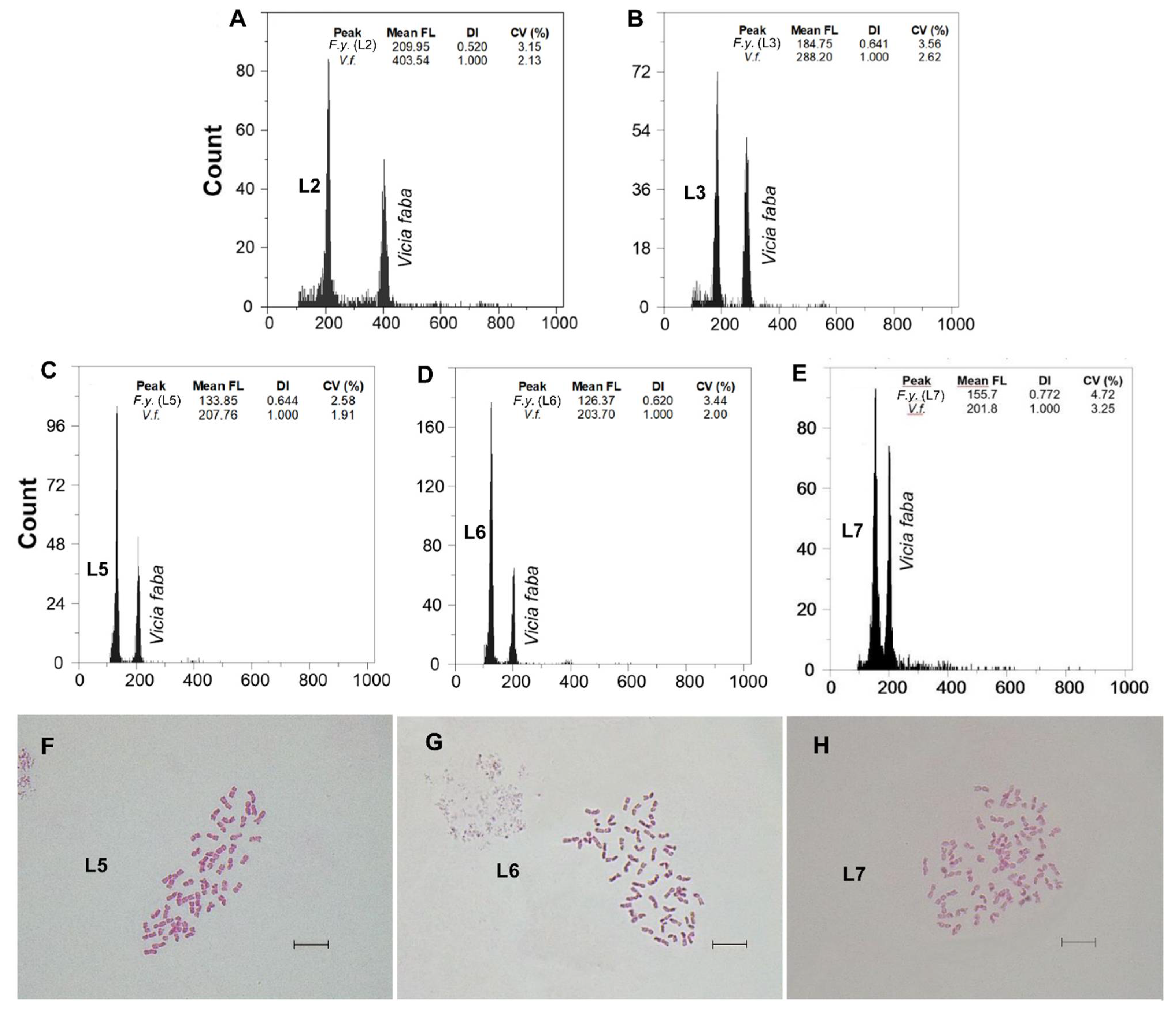 Genes 12 00906 g003 Genes 12 00906 g003