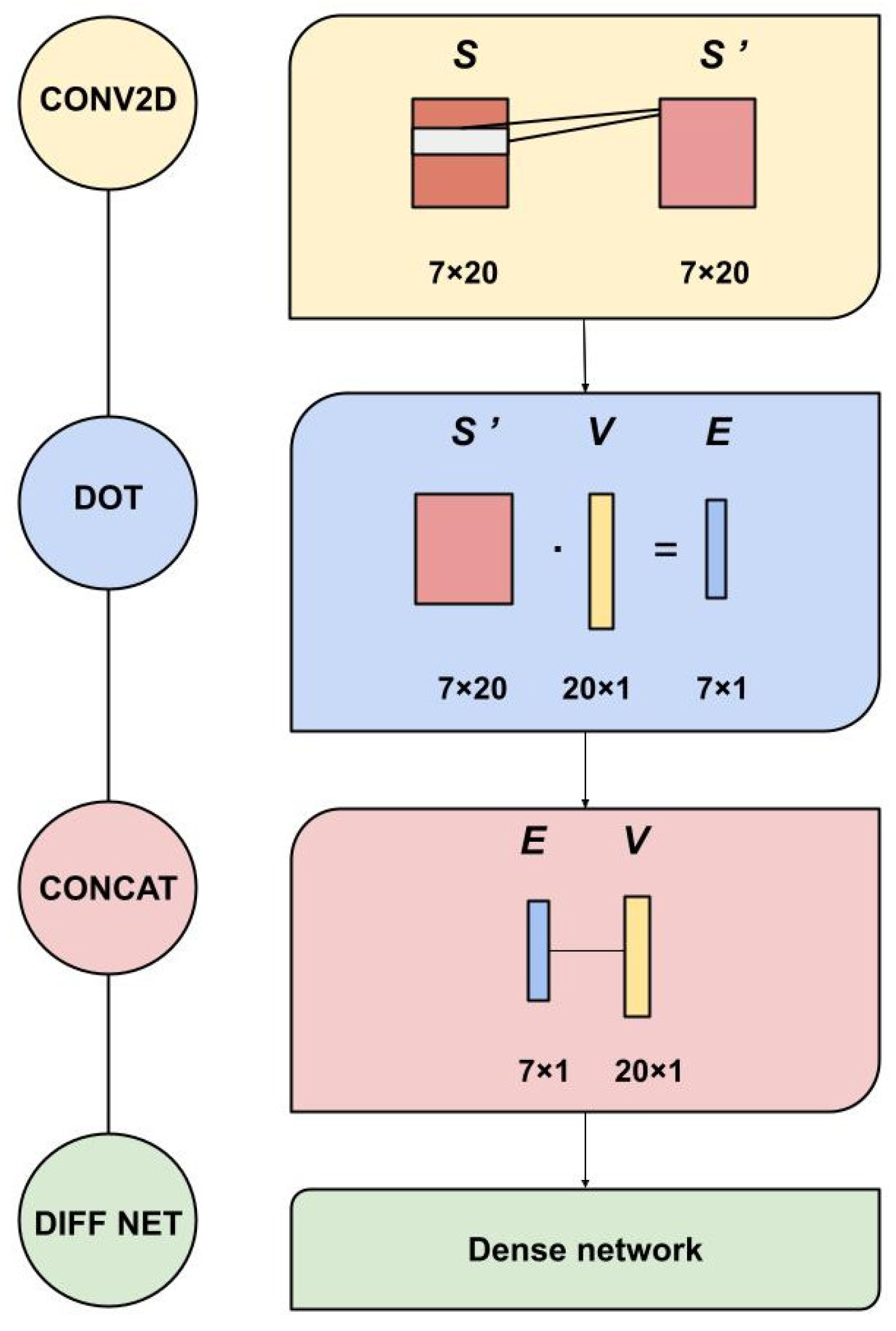 Genes 12 00911 g001
