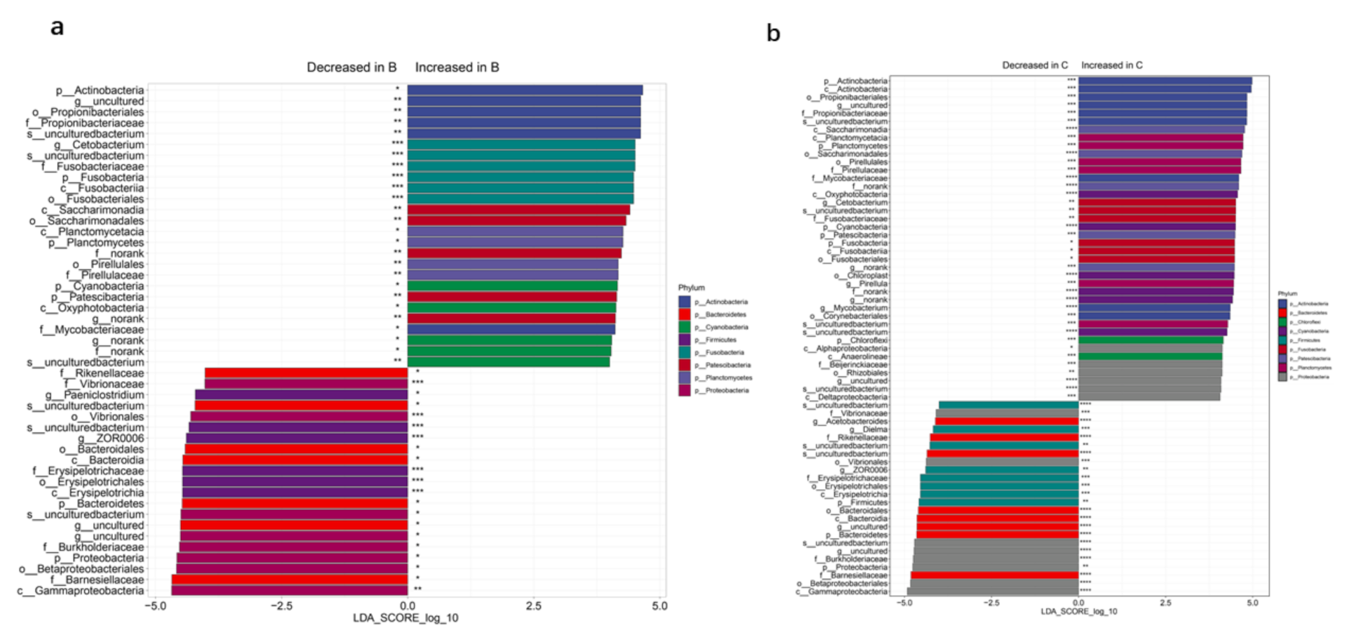 Genes 12 00916 g003