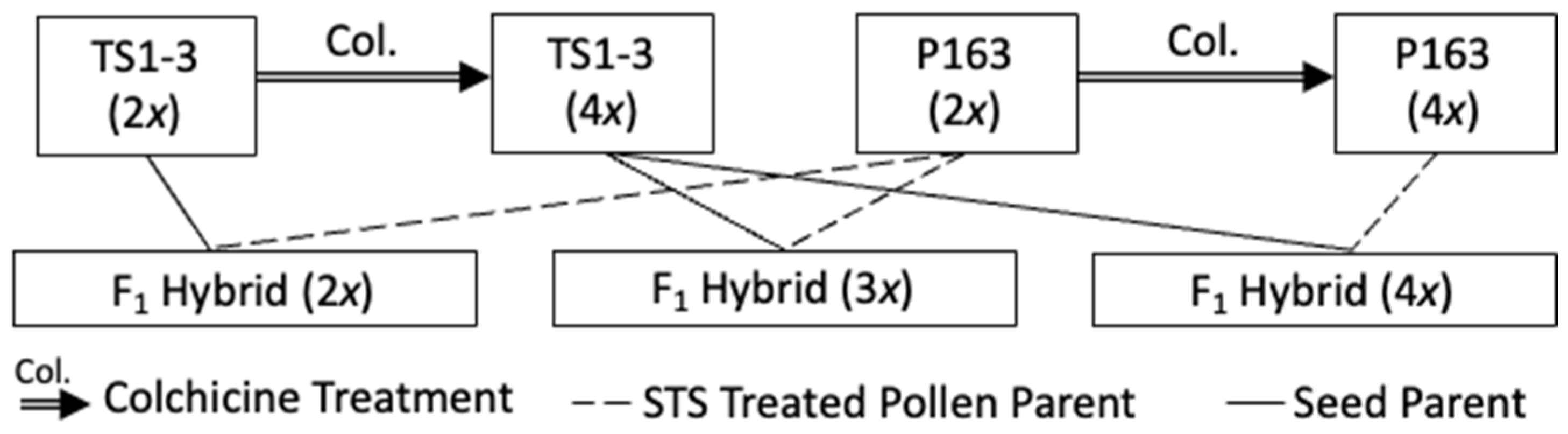 Genes 12 00923 g001 Genes 12 00923 g001