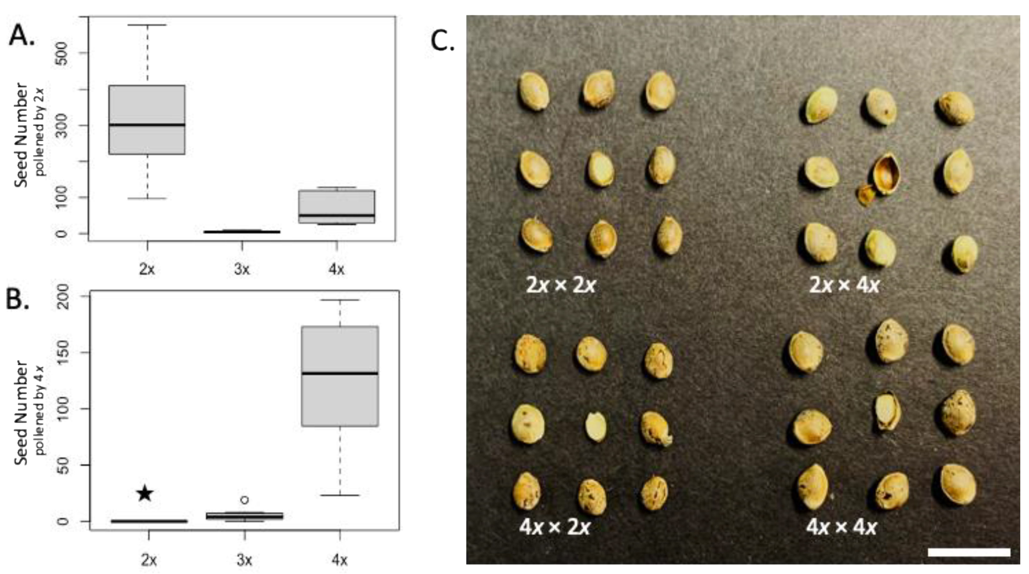 Genes 12 00923 g003 Genes 12 00923 g003