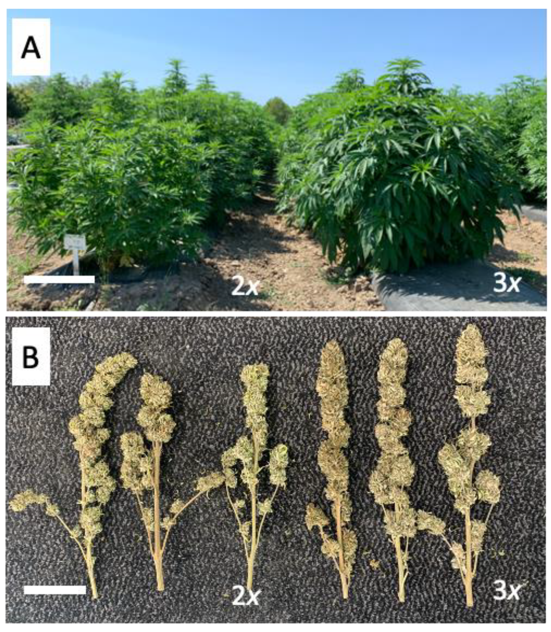 Genes 12 00923 g004 Genes 12 00923 g004