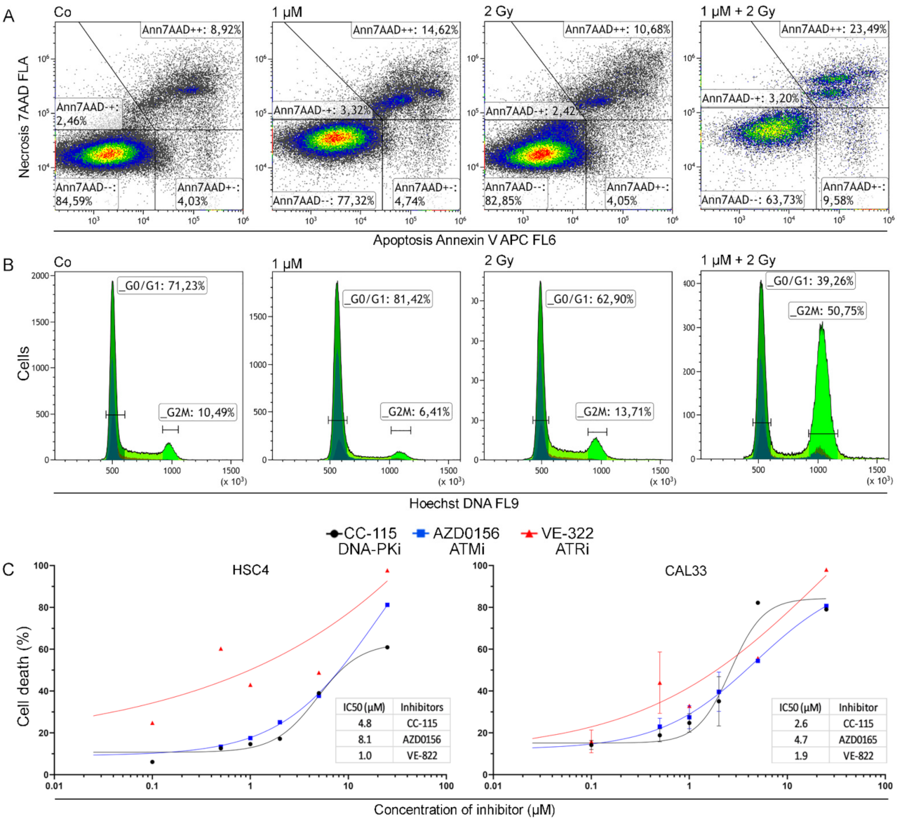 Genes 12 00925 g001 Genes 12 00925 g001