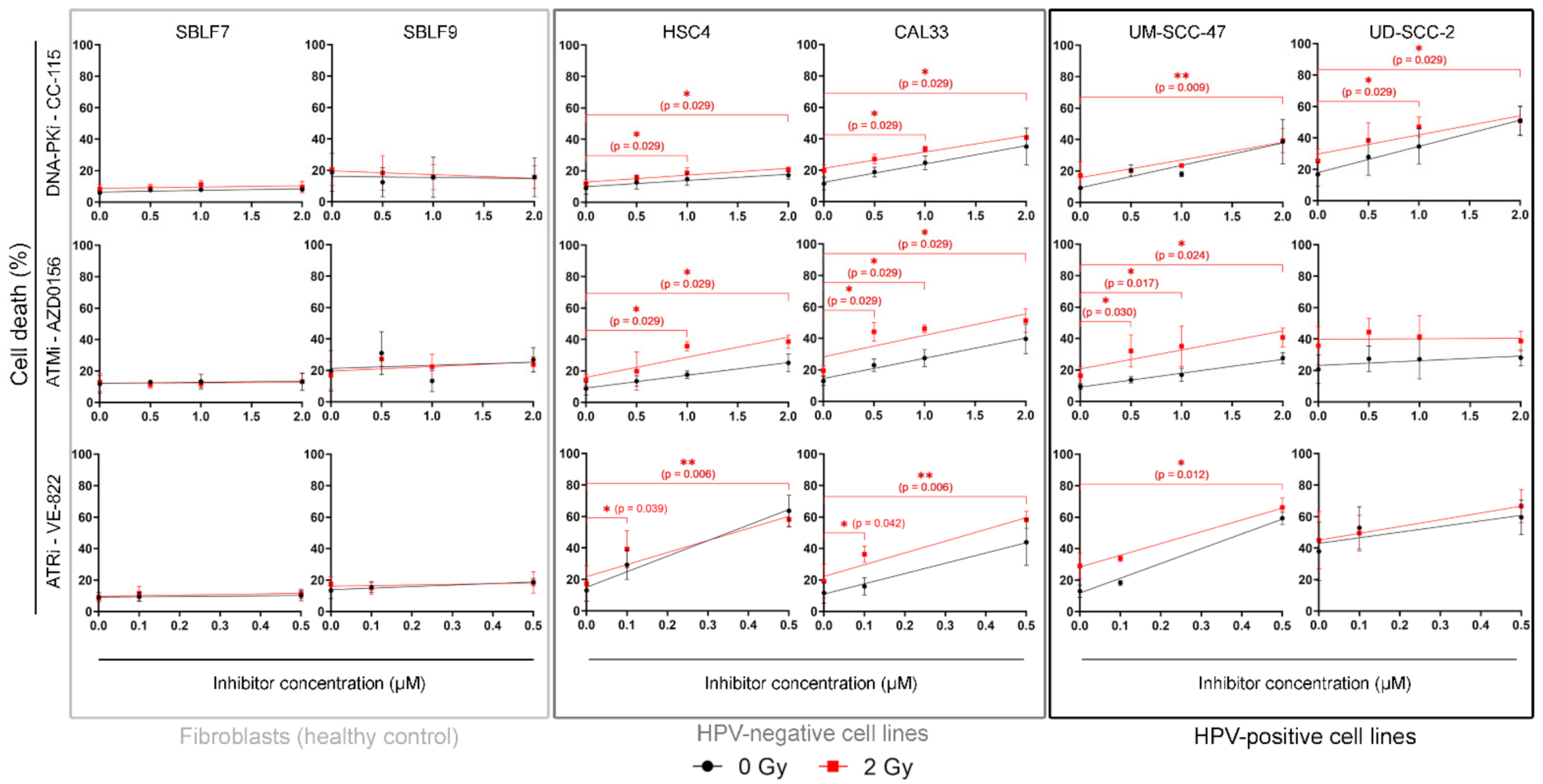 Genes 12 00925 g002 Genes 12 00925 g002