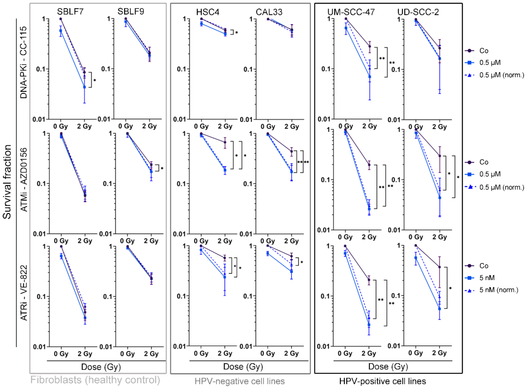 Genes 12 00925 g004 Genes 12 00925 g004