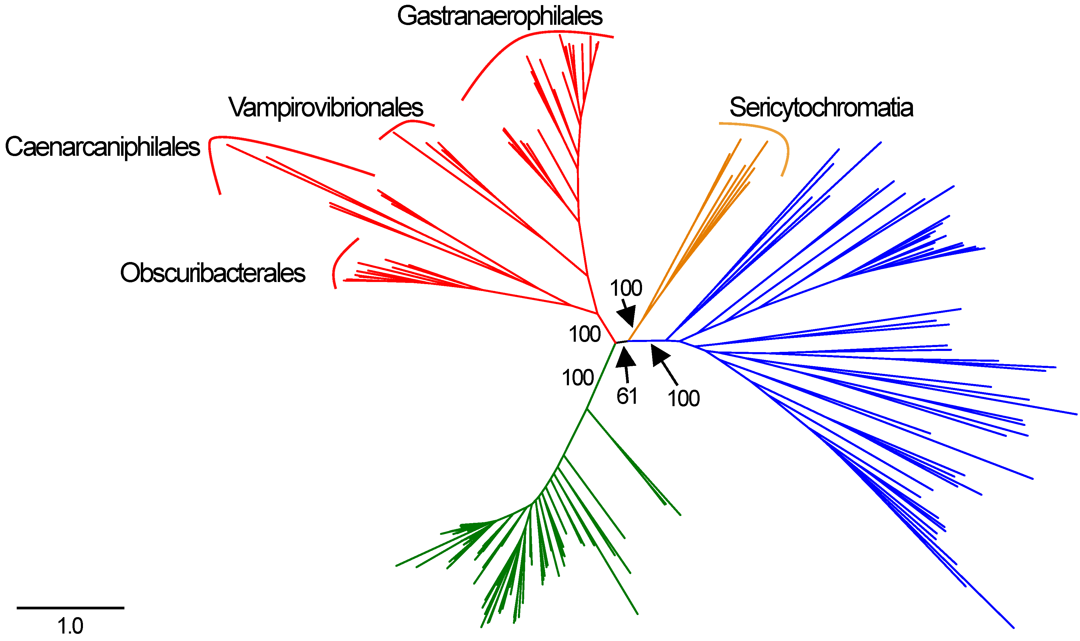 Genes 12 00929 g001 Genes 12 00929 g001