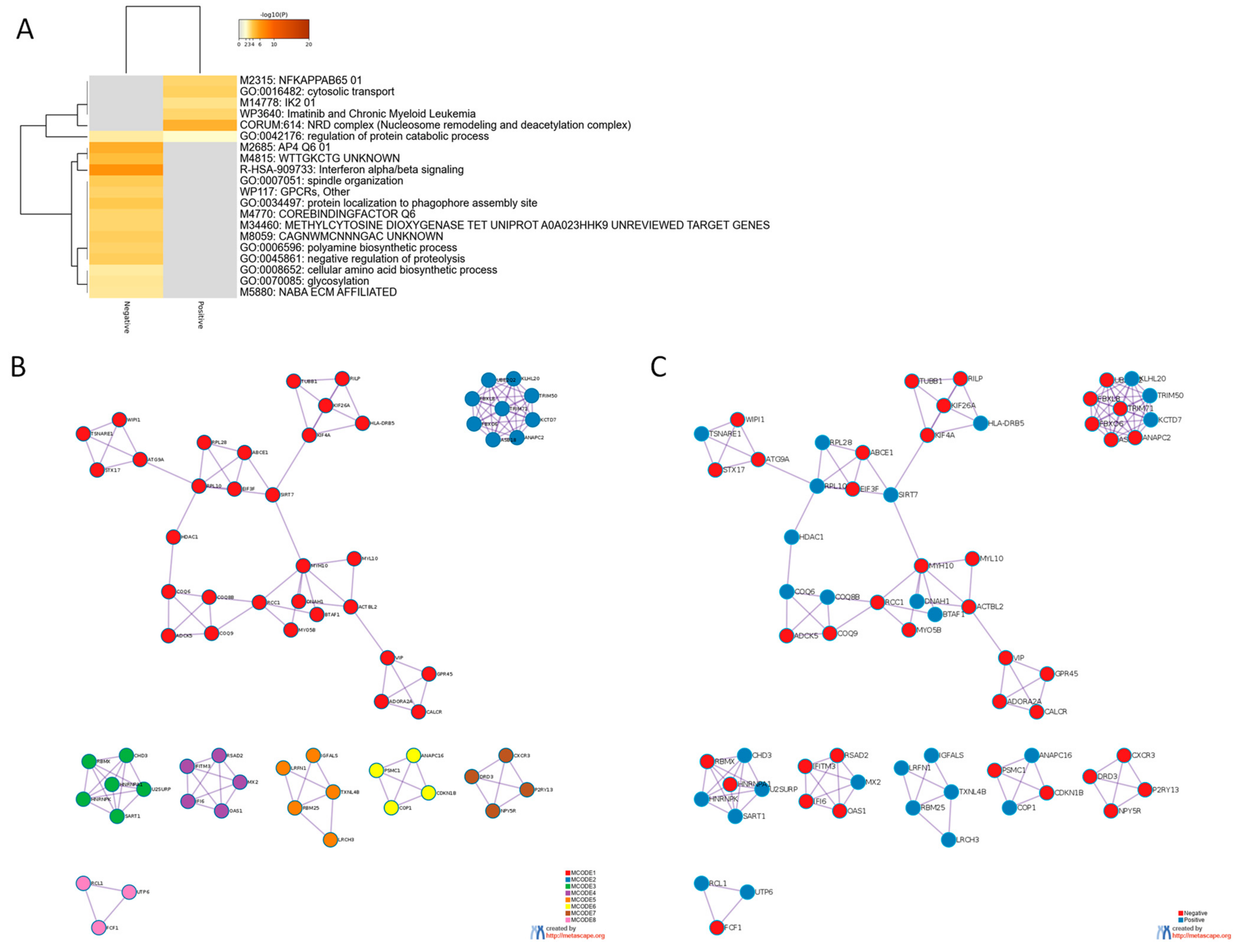 Genes 12 00931 g003 Genes 12 00931 g003
