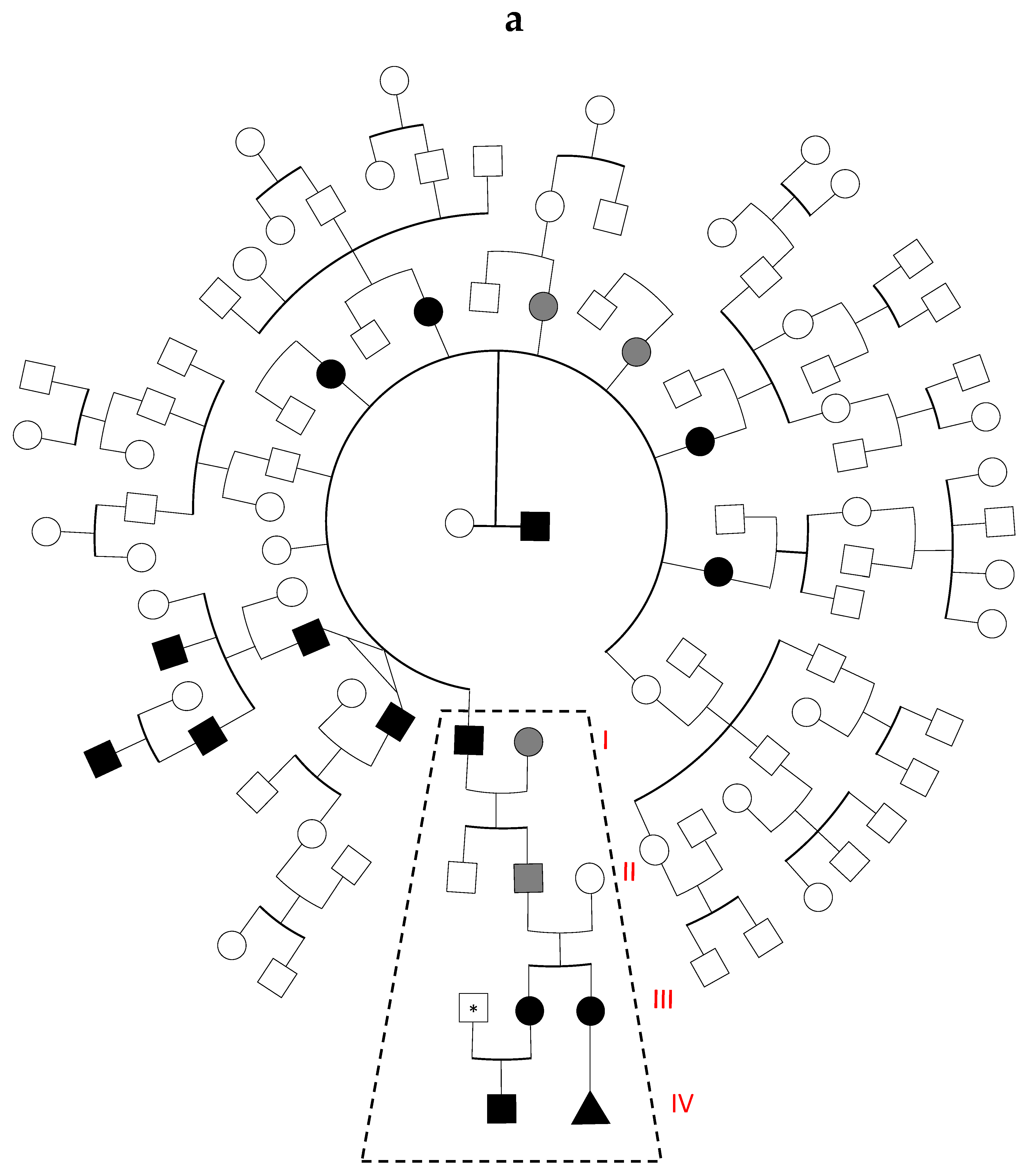 Genes 12 00934 g001a Genes 12 00934 g001a