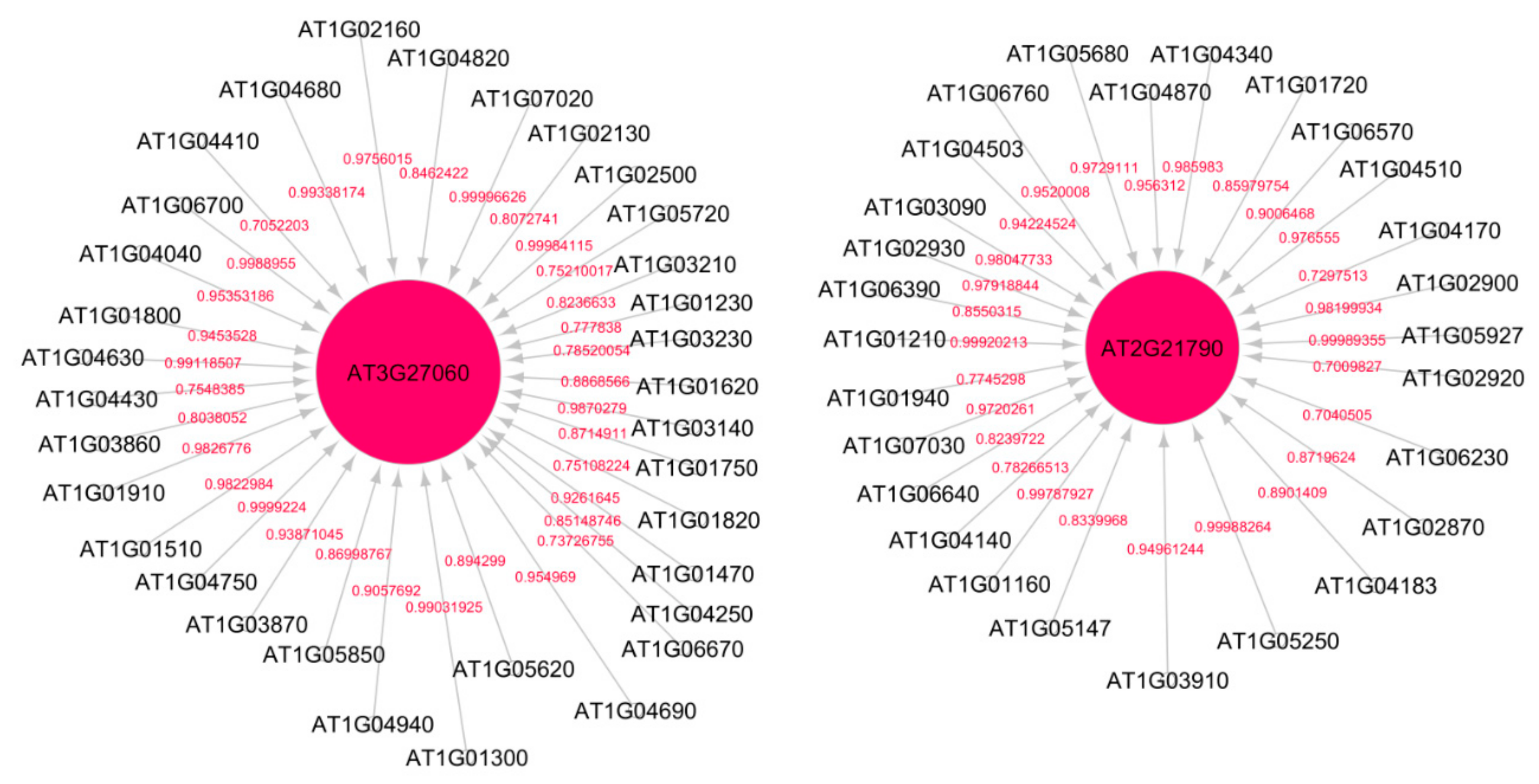 Genes 12 00938 g003 Genes 12 00938 g003