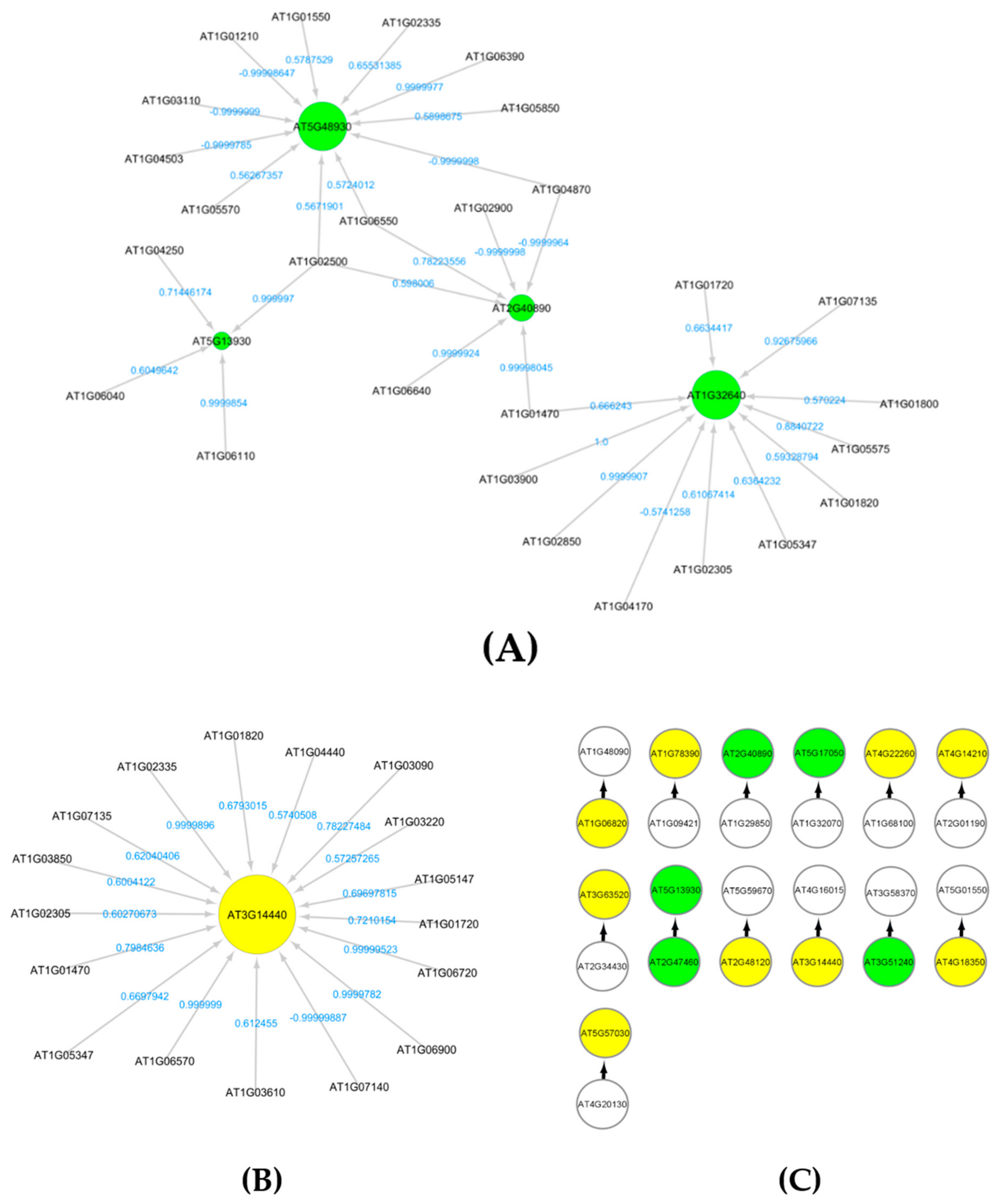 Genes 12 00938 g004 Genes 12 00938 g004