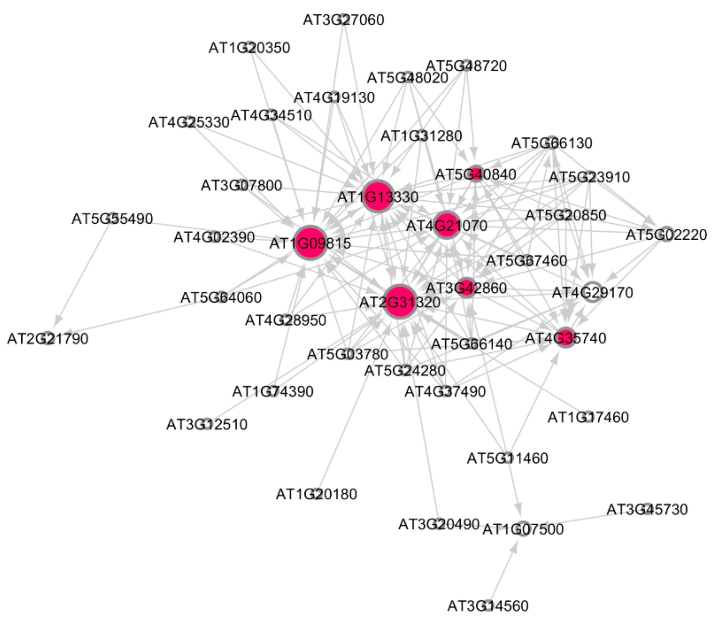 Genes 12 00938 g005 Genes 12 00938 g005