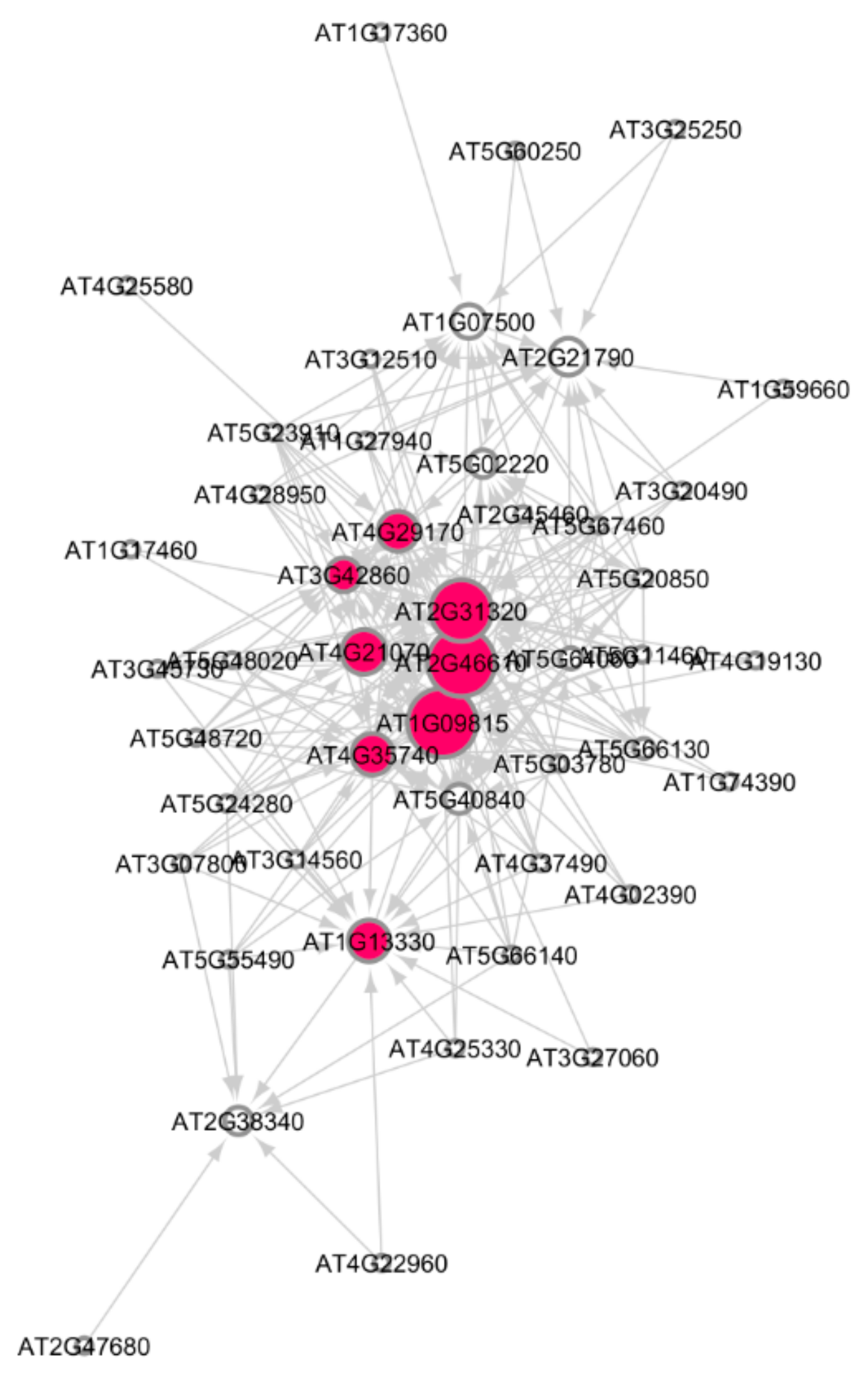 Genes 12 00938 g006 Genes 12 00938 g006
