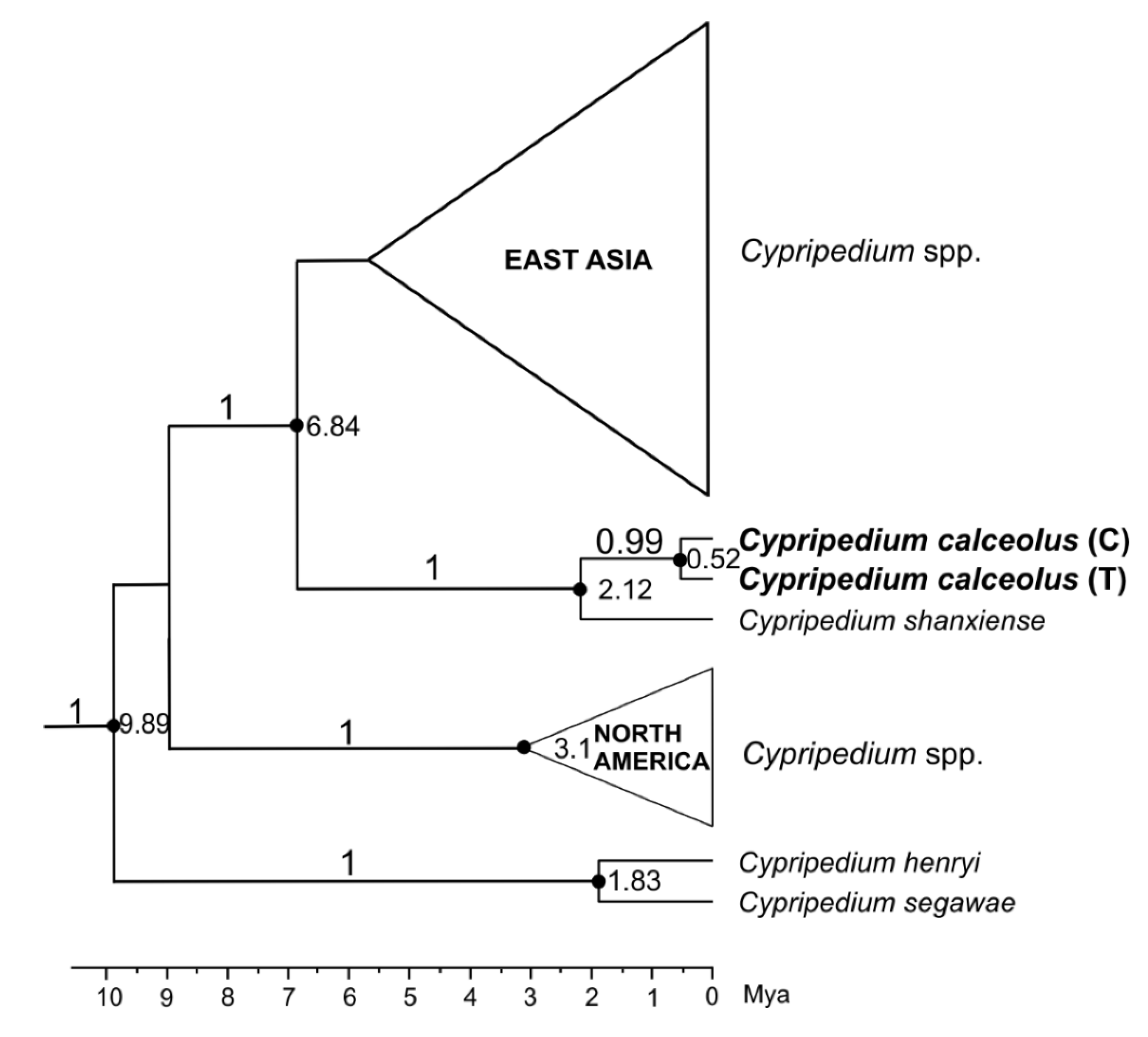 Genes 12 00940 g001 Genes 12 00940 g001