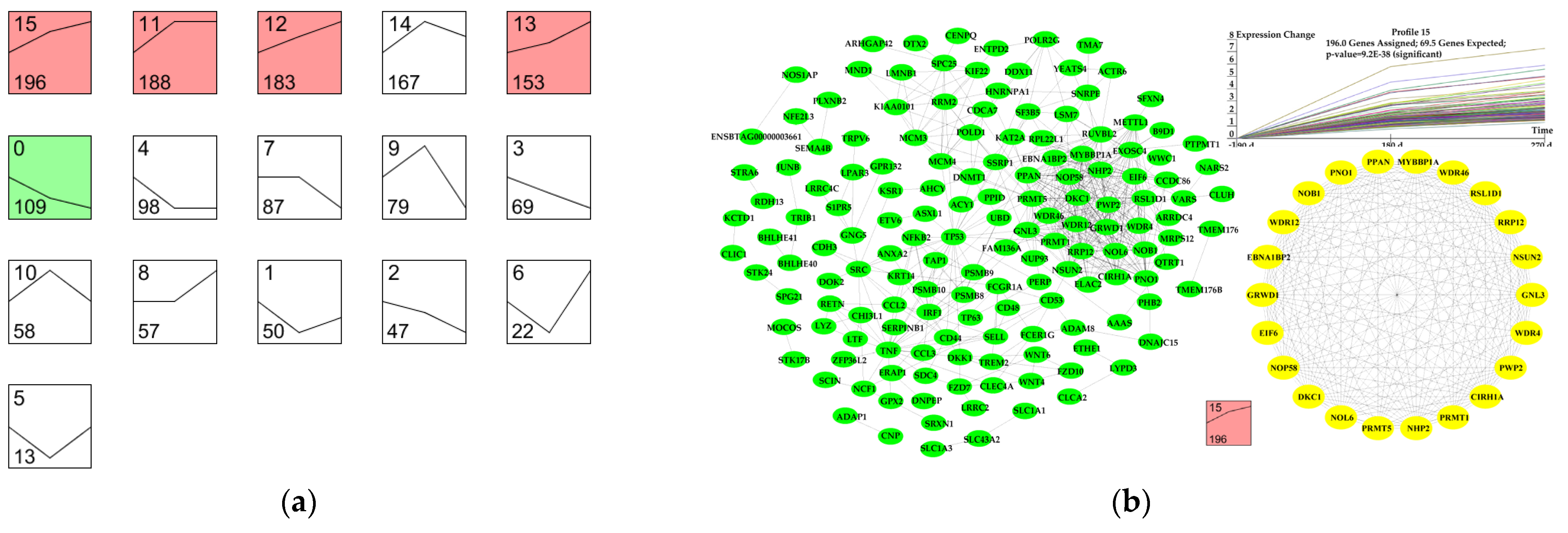 Genes 12 00942 g006a