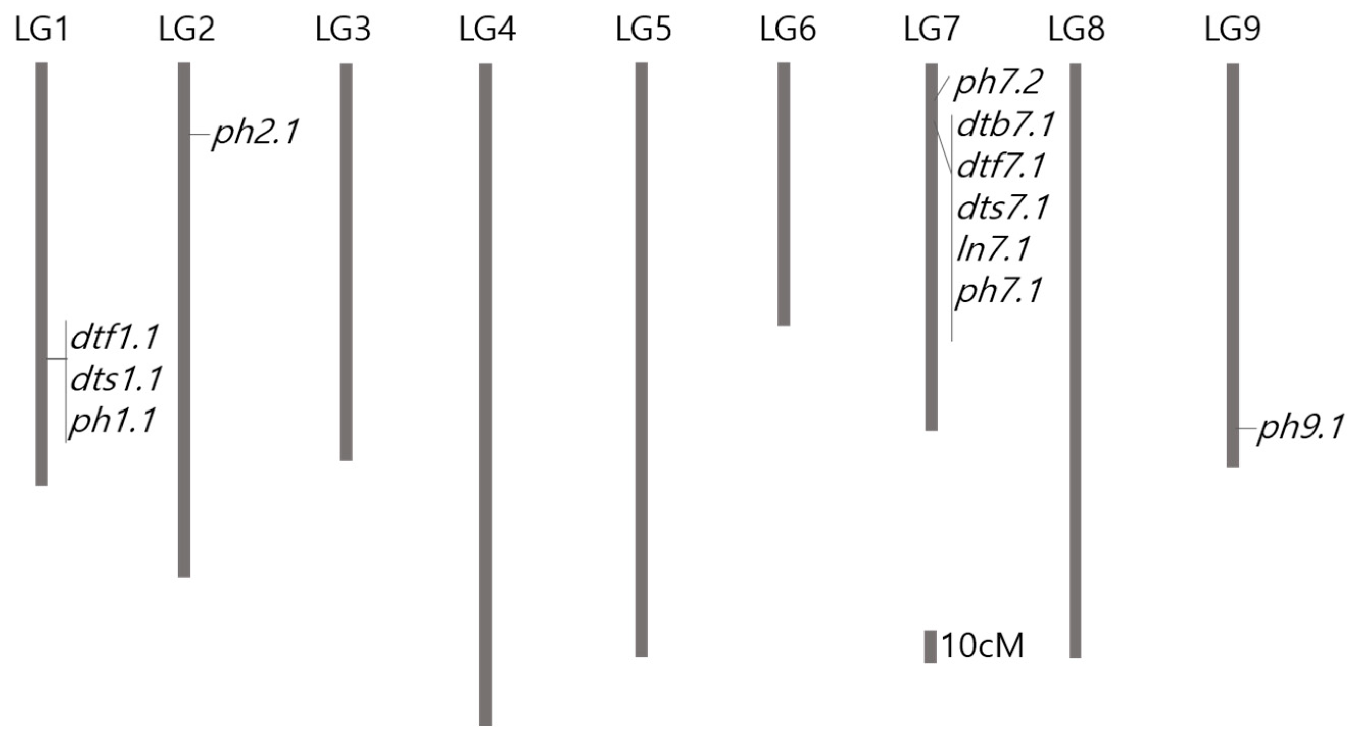 Genes 12 00947 g002