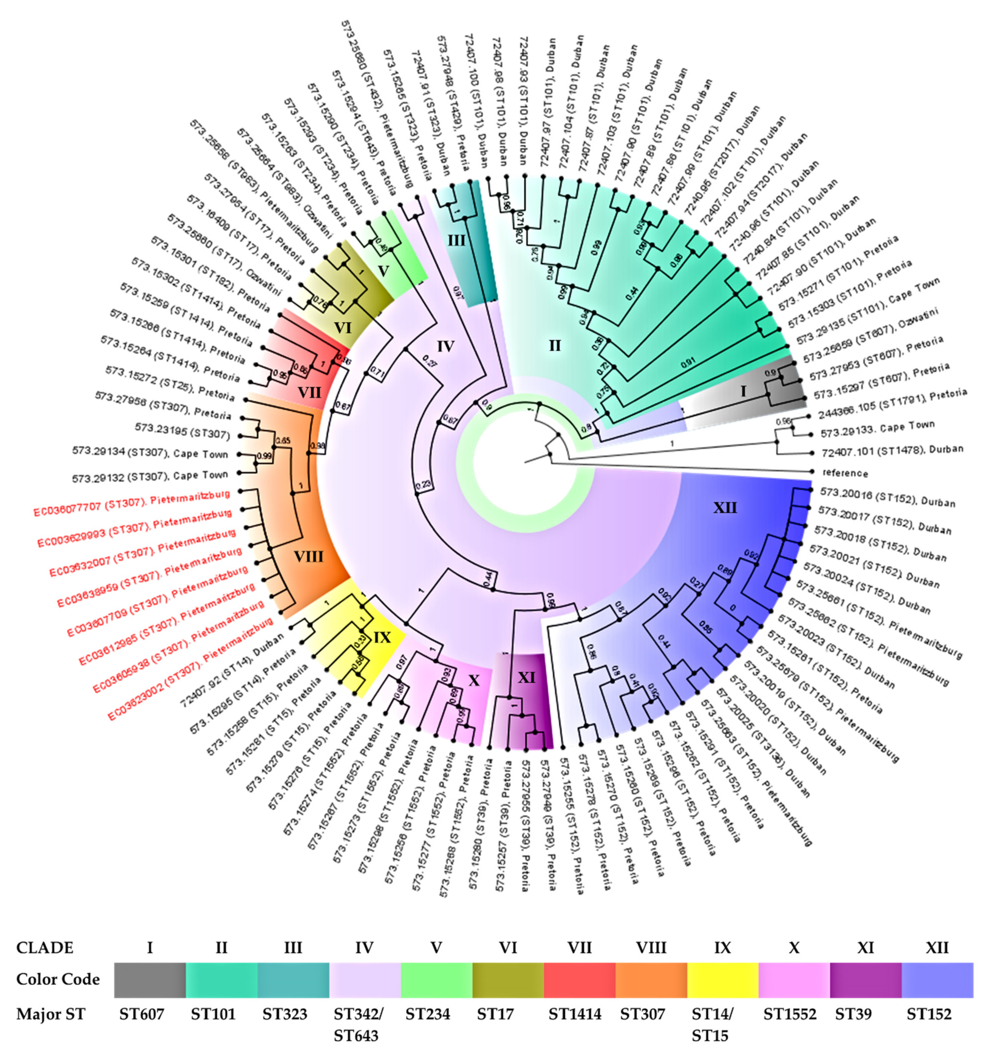 Genes 12 00951 g004 Genes 12 00951 g004