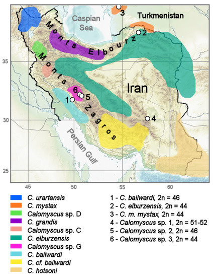 Tehran in sex bolshoy Premarital Sex