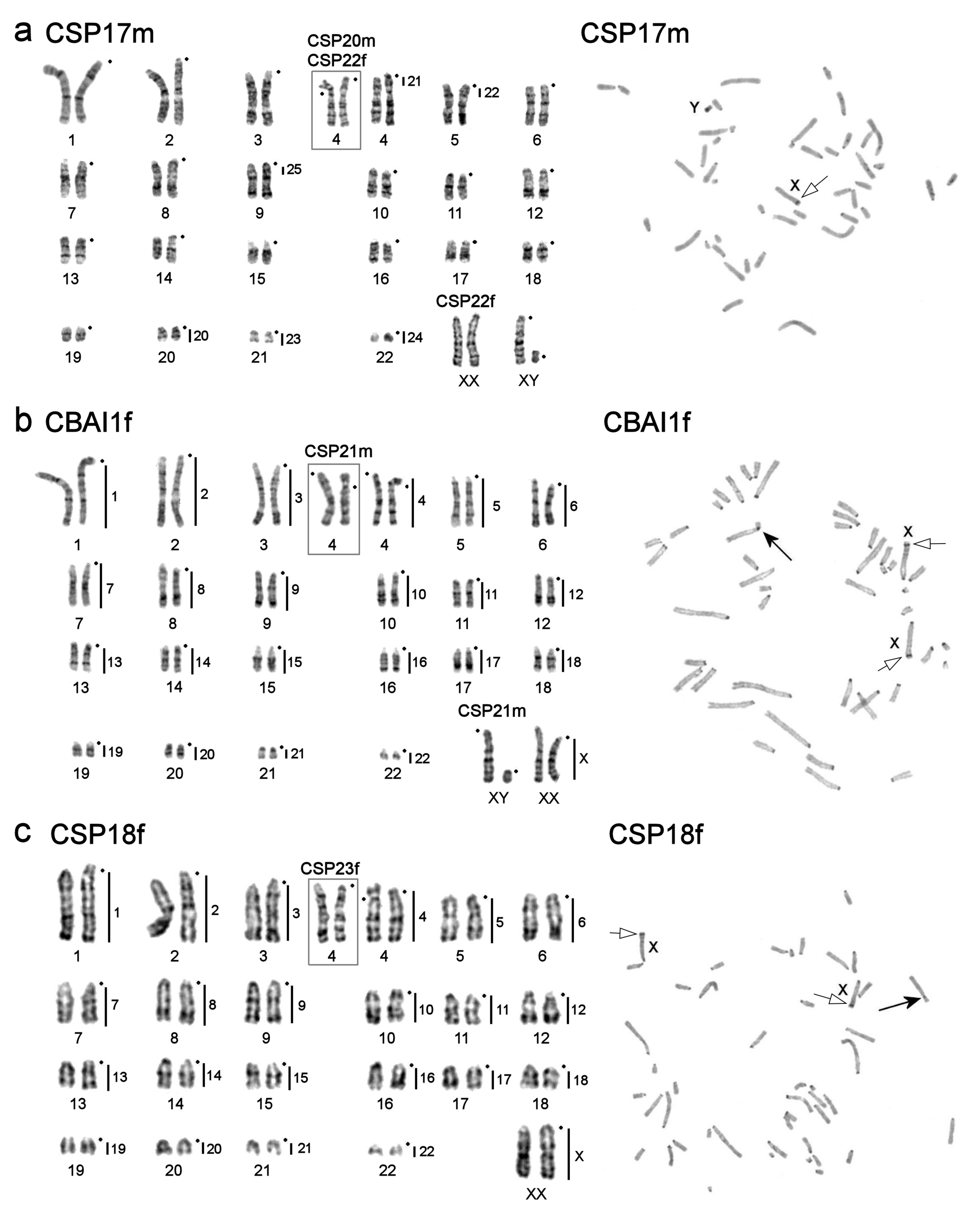 Genes 12 00964 g003 Genes 12 00964 g003