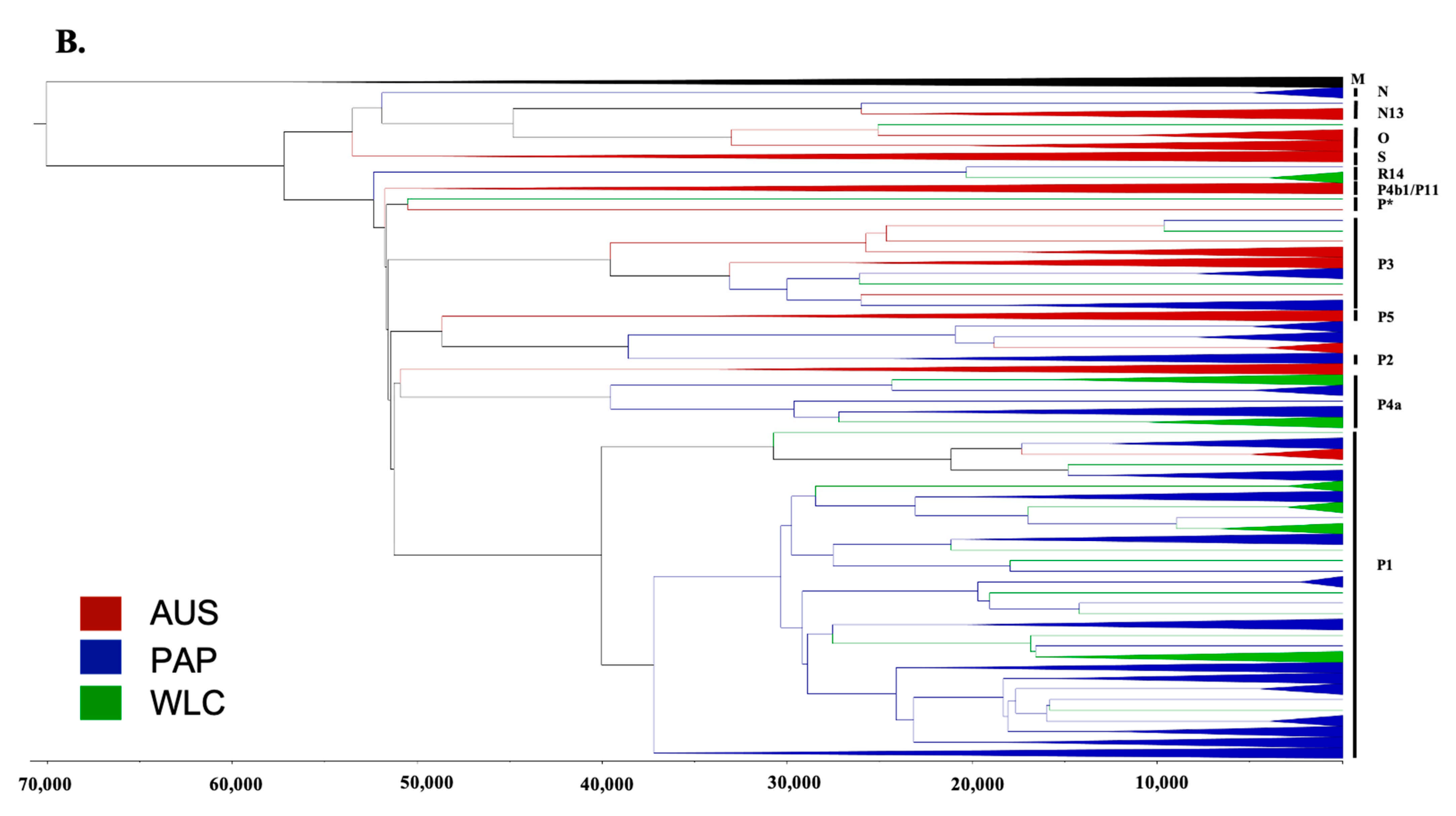 Genes 12 00965 g002b