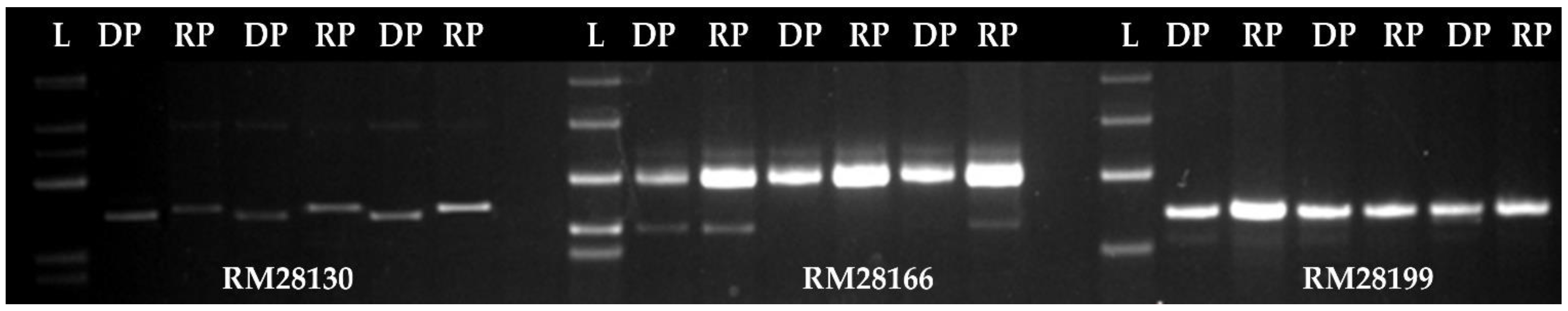 Genes 12 00967 g001 550