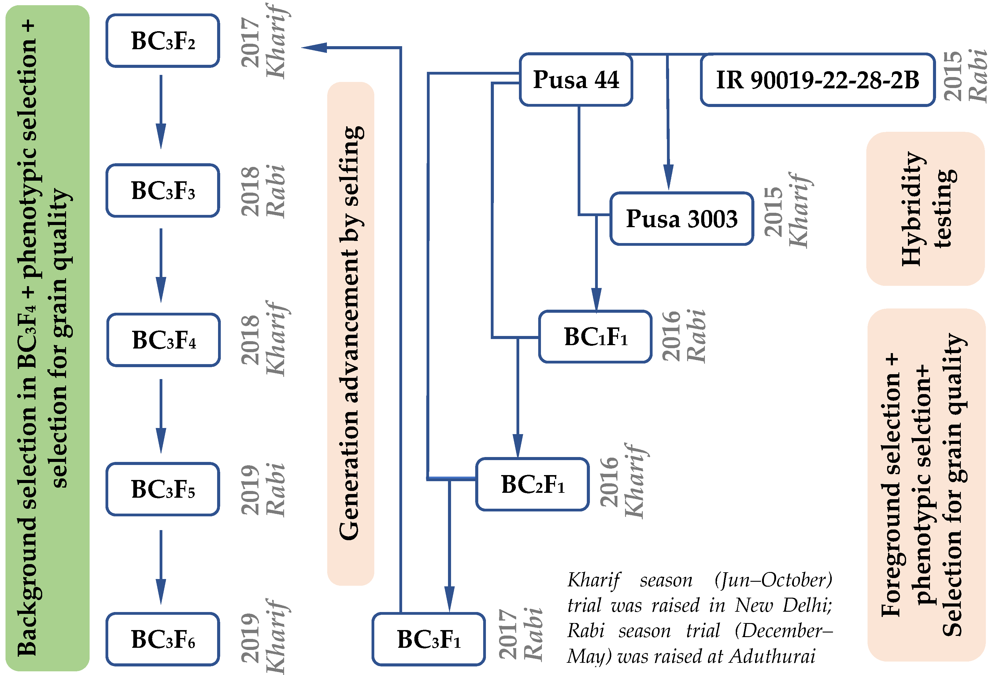 Genes 12 00967 g002 550