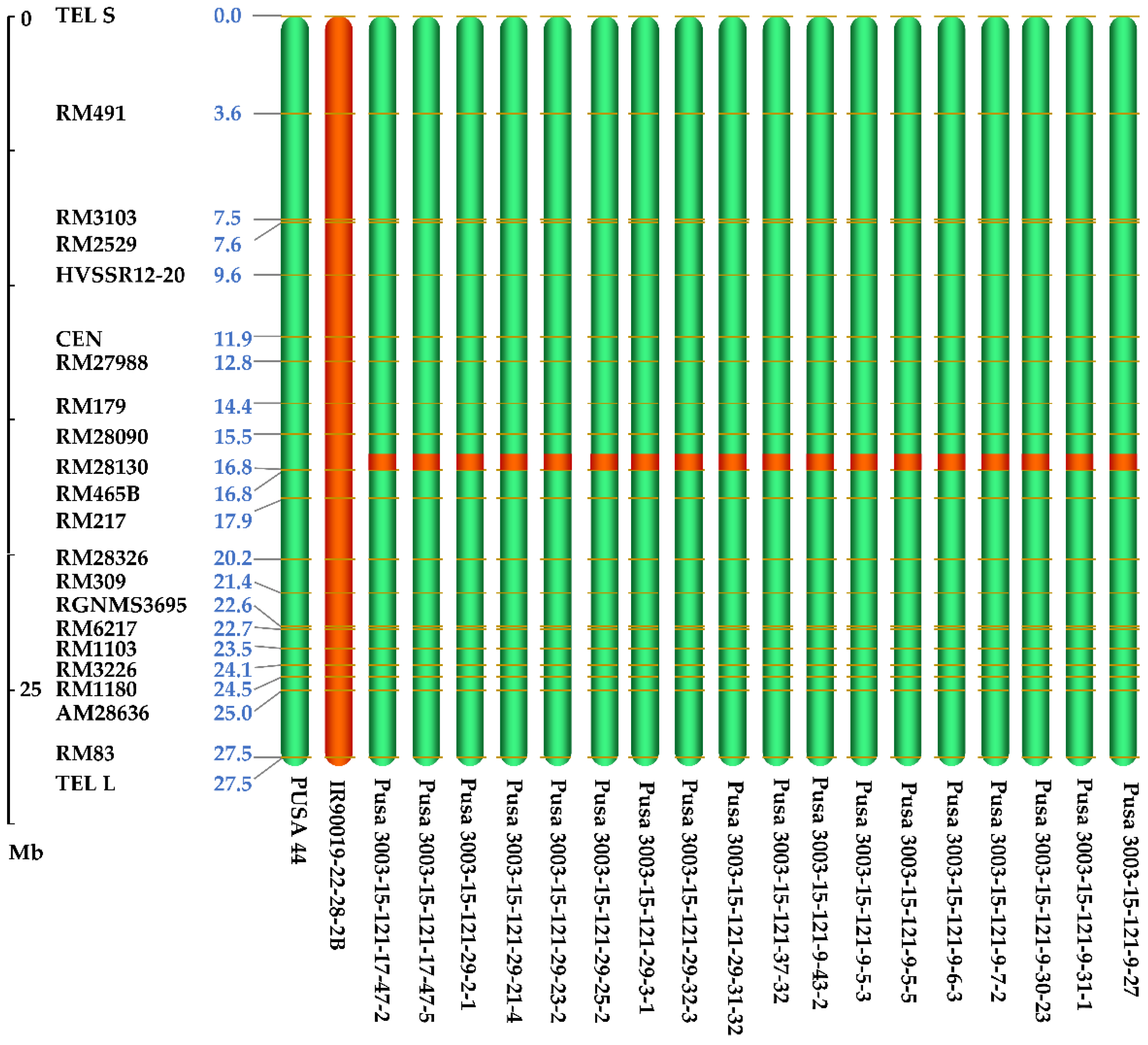 Genes 12 00967 g003 550