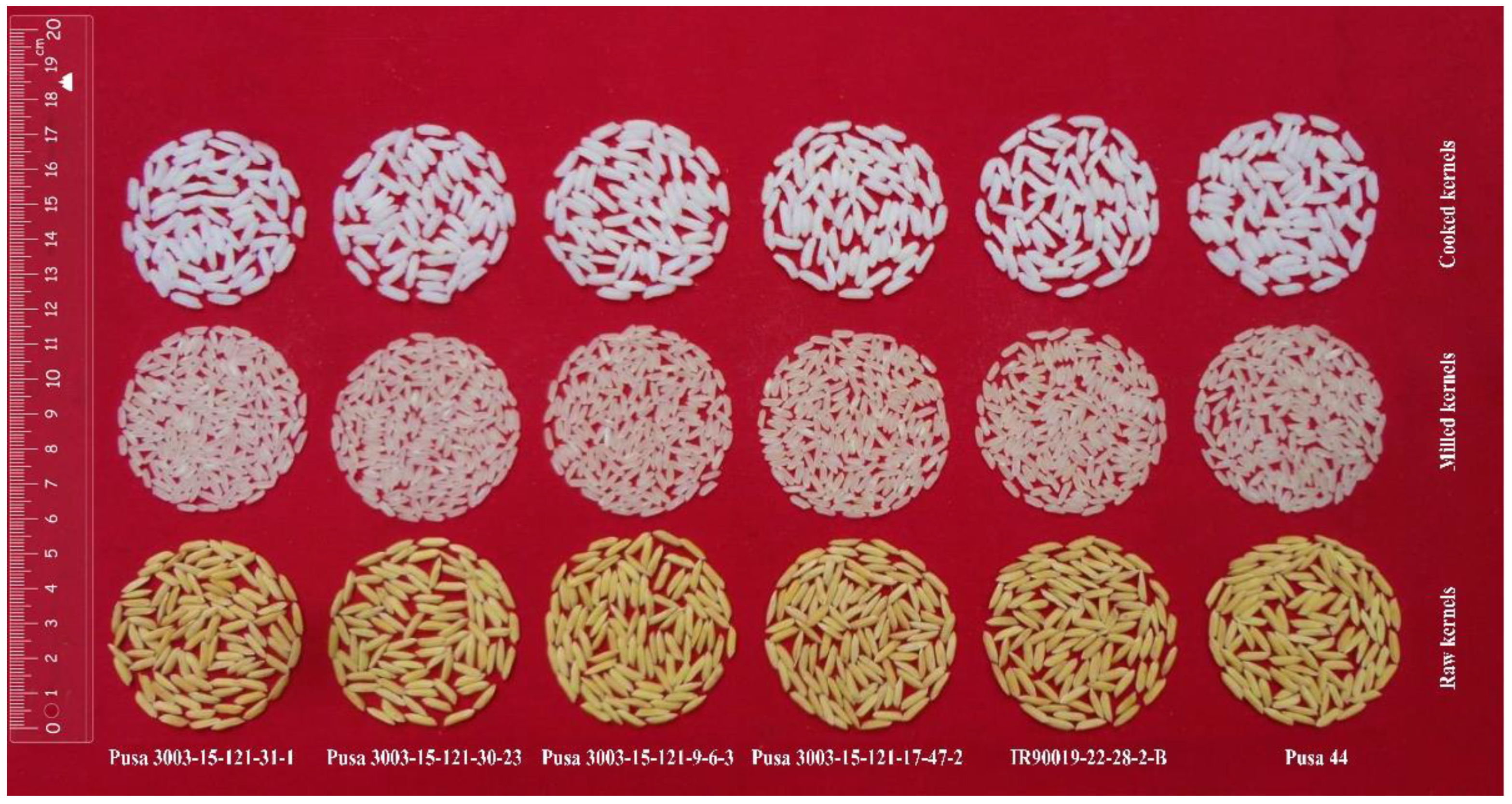 Genes 12 00967 g004 550