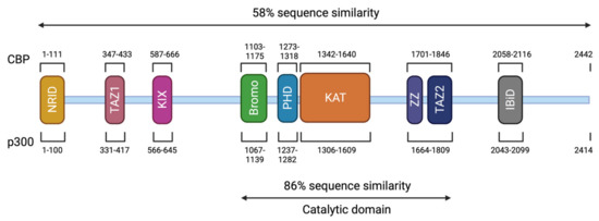 Expanding the phenotype associated to KMT2A variants: overlapping clinical  signs between Wiedemann–Steiner and Rubinstein–Taybi syndromes