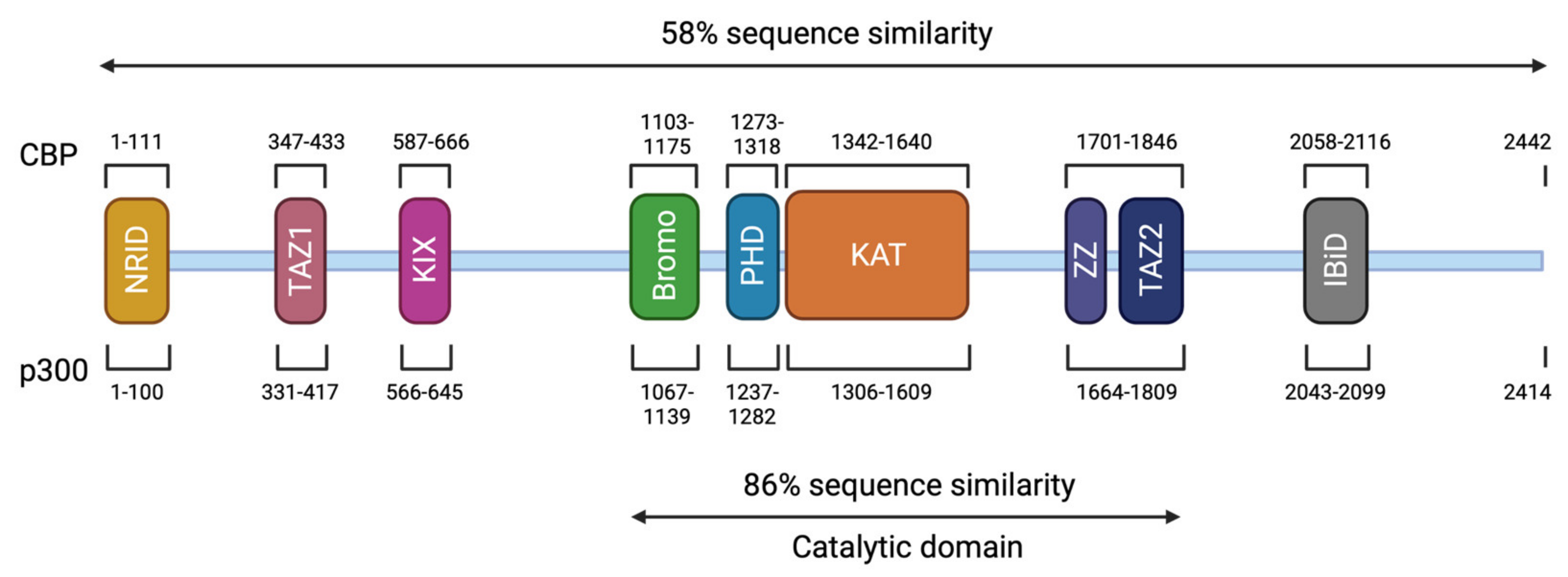 Psychiatric Profile in Rubinstein-Taybi Syndrome