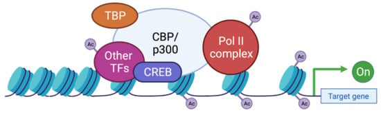 Characterization of 14 novel deletions underlying Rubinstein–Taybi  syndrome: an update of the CREBBP deletion repertoire