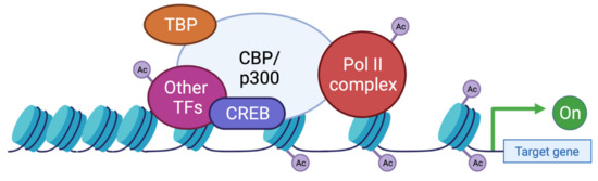 Rubinstein-Taybi Syndrome: spectrum of CREBBP mutations in Italian patients, BMC Medical Genetics