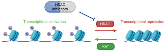 Rubinstein-Taybi 2 associated to novel EP300 mutations: deepening the  clinical and genetic spectrum, BMC Medical Genetics