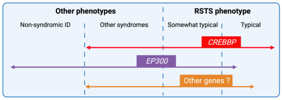 Expanding the phenotype associated to KMT2A variants: overlapping clinical  signs between Wiedemann–Steiner and Rubinstein–Taybi syndromes