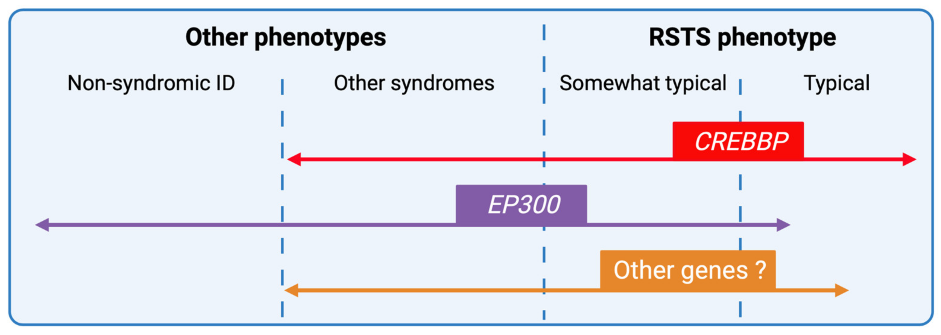 Genetic heterogeneity in Rubinstein–Taybi syndrome: delineation of