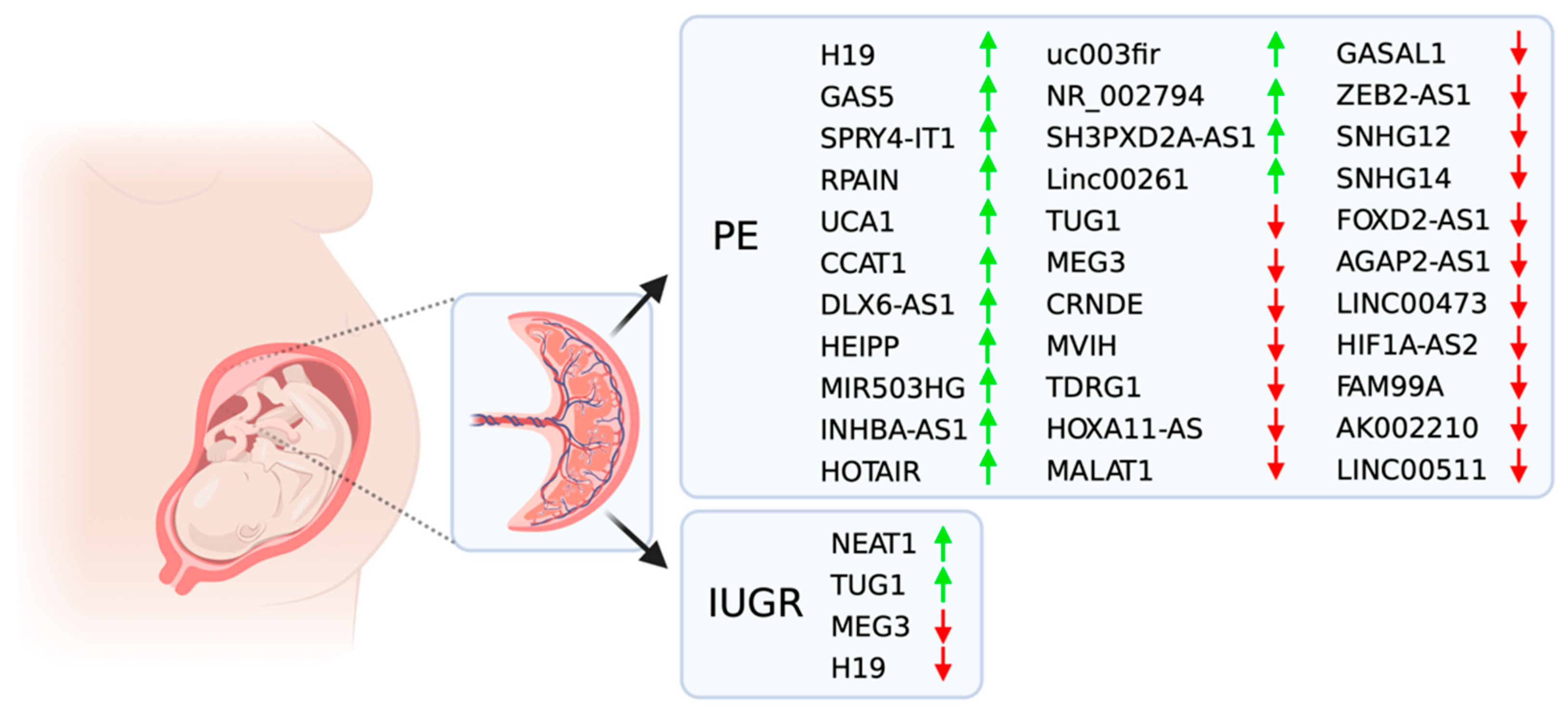 Genes 12 00970 g001 Genes 12 00970 g001