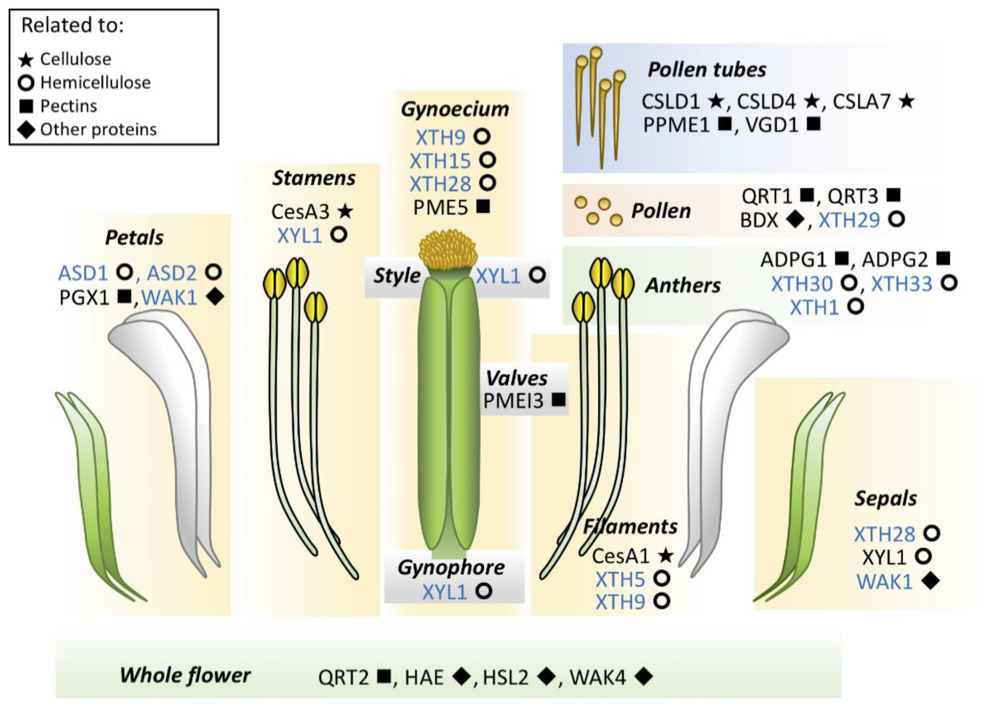 Genes 12 00978 g003 Genes 12 00978 g003