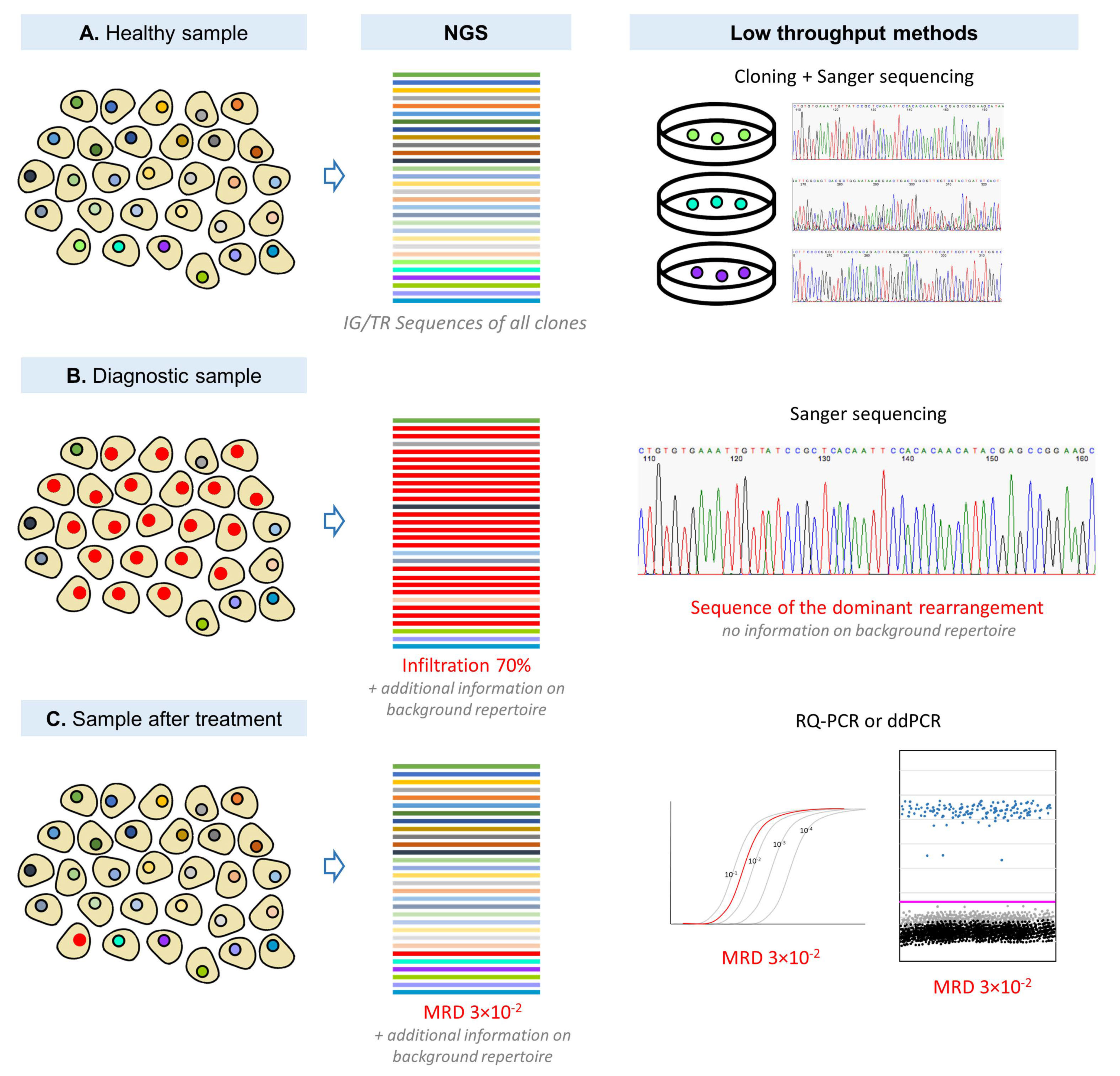 Genes 12 00979 g001 Genes 12 00979 g001