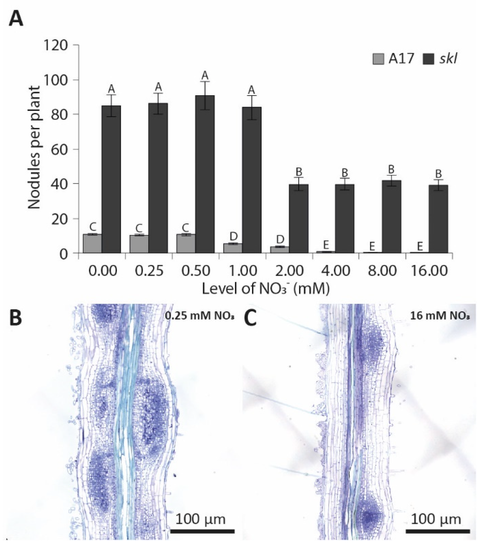 Genes 12 00988 g004 550