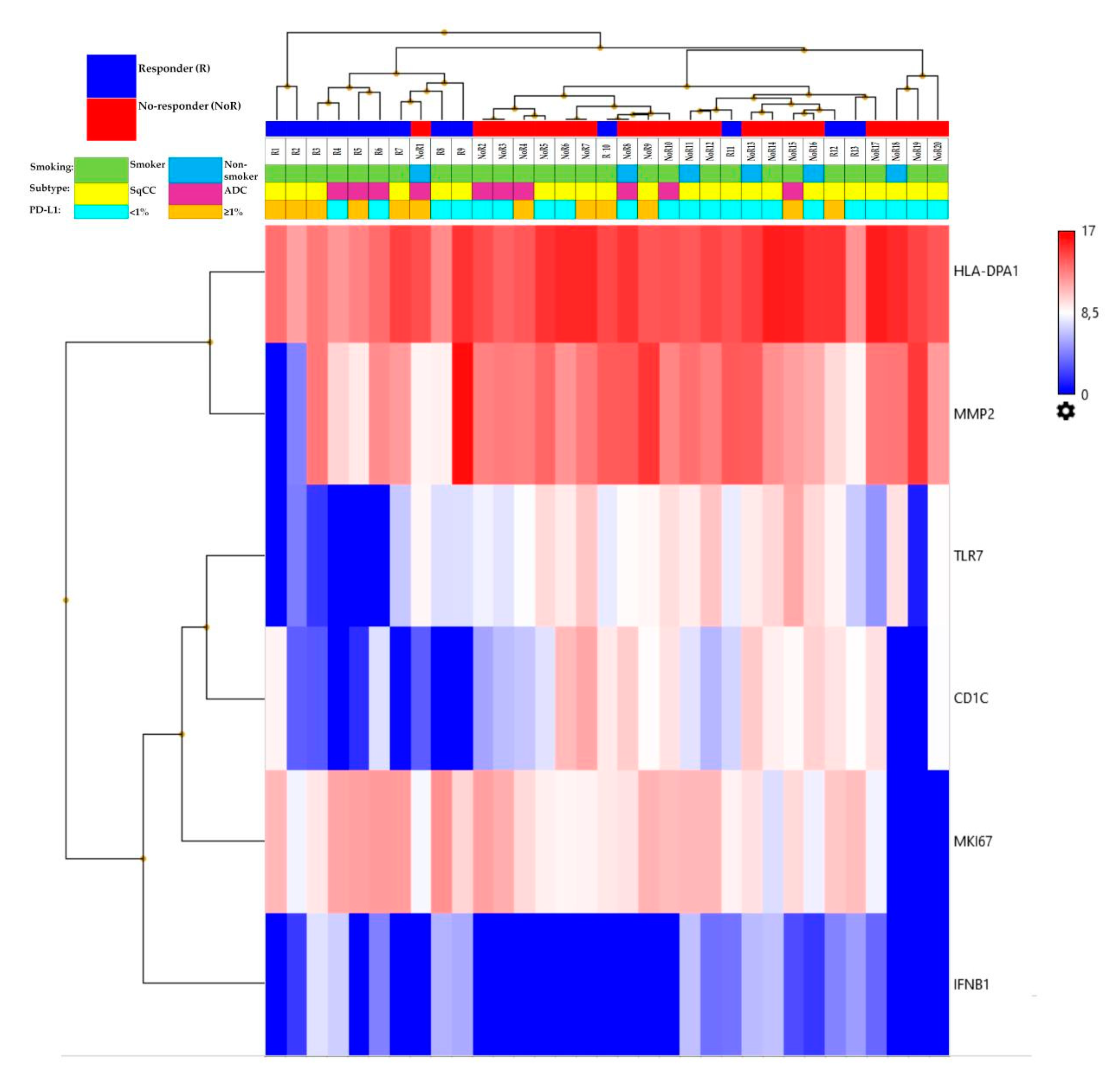Genes 12 00992 g001 550