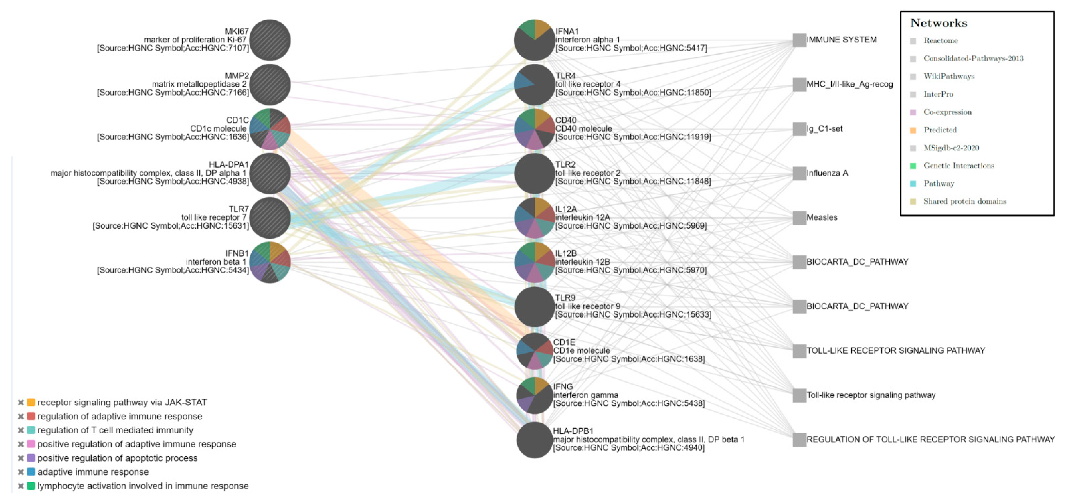 Genes 12 00992 g004 550