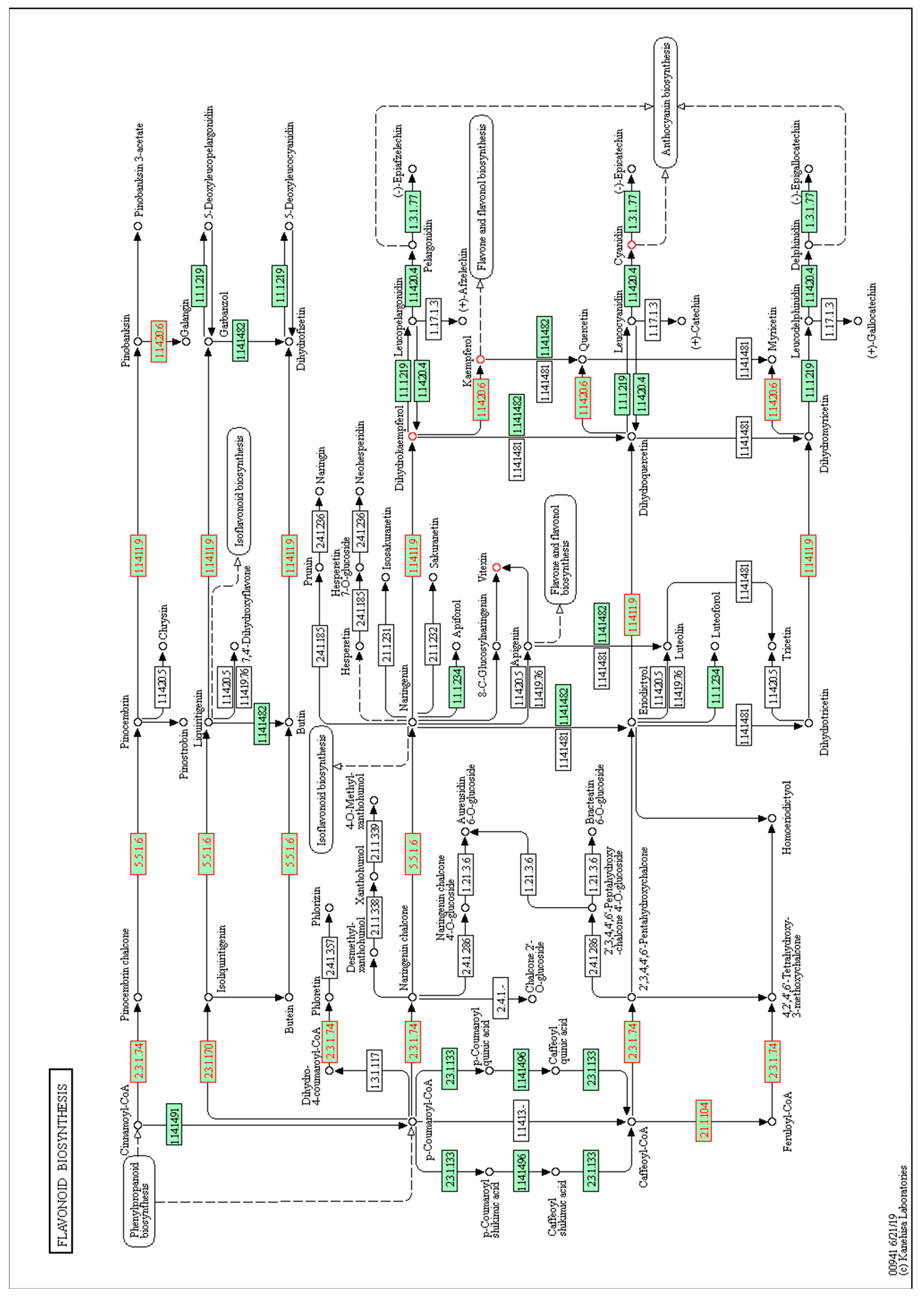 Genes 12 00995 g005 550