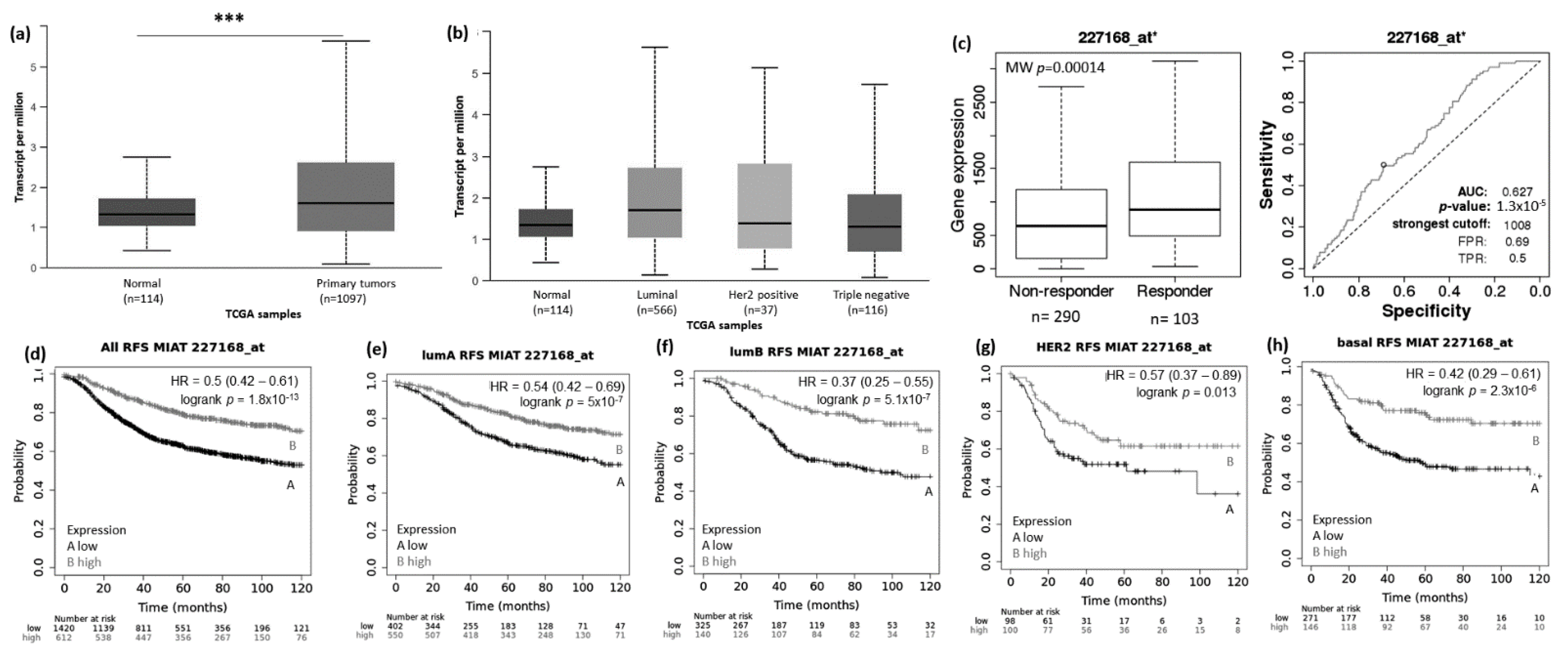 Genes 12 00996 g002
