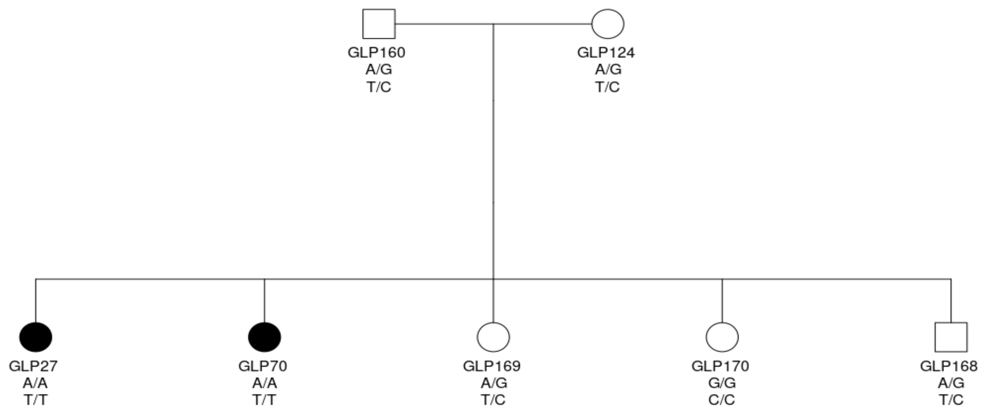 Genes 12 00997 g003 Genes 12 00997 g003
